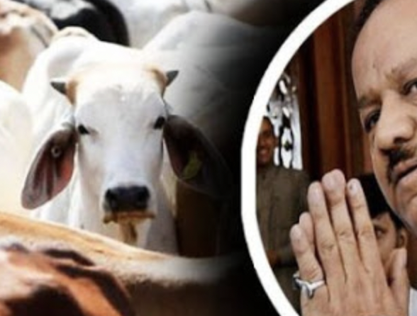 Screenshot 2021-04-18 at 12.44.52 PM.png