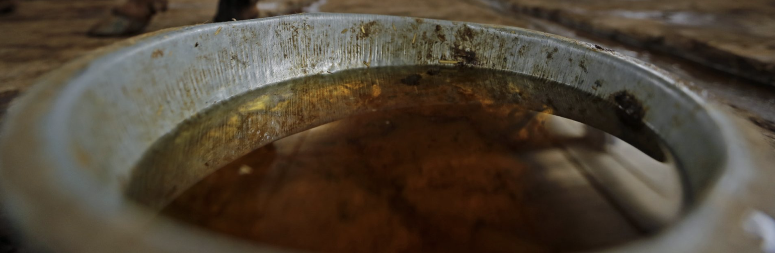 Screenshot 2021-04-18 at 12.45.58 PM.png