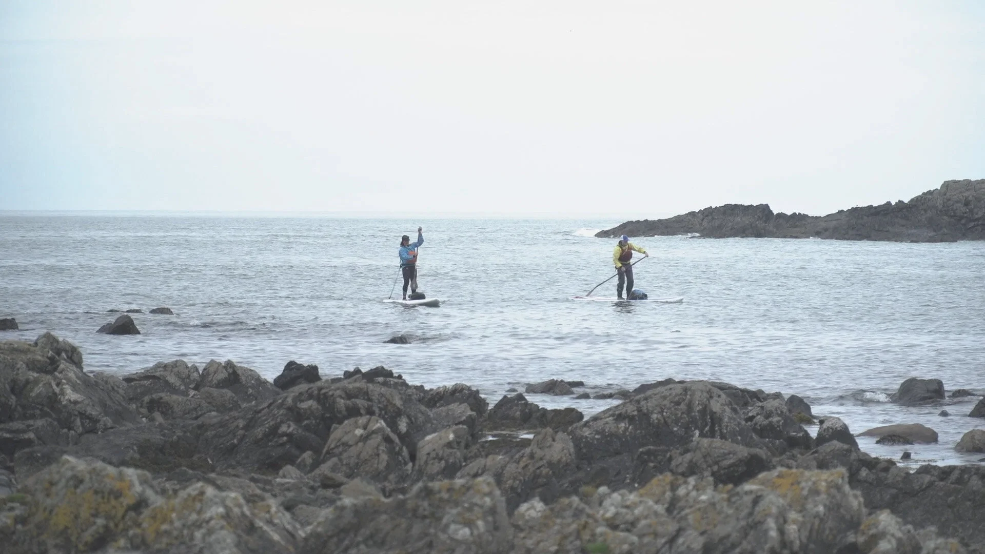 sup-star-02-6.jpg