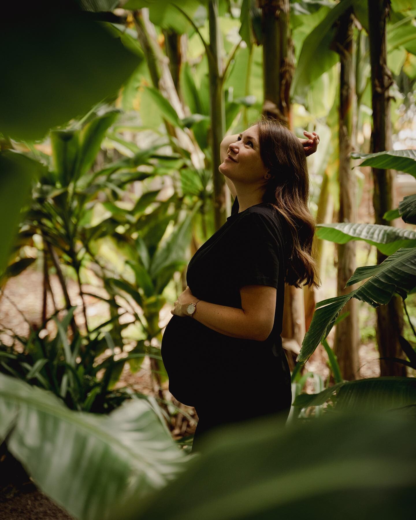 Jungle vibes