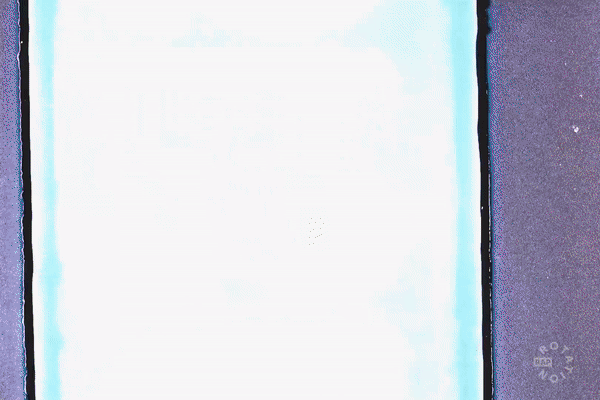 Amazon Music - Welcome to the House Party