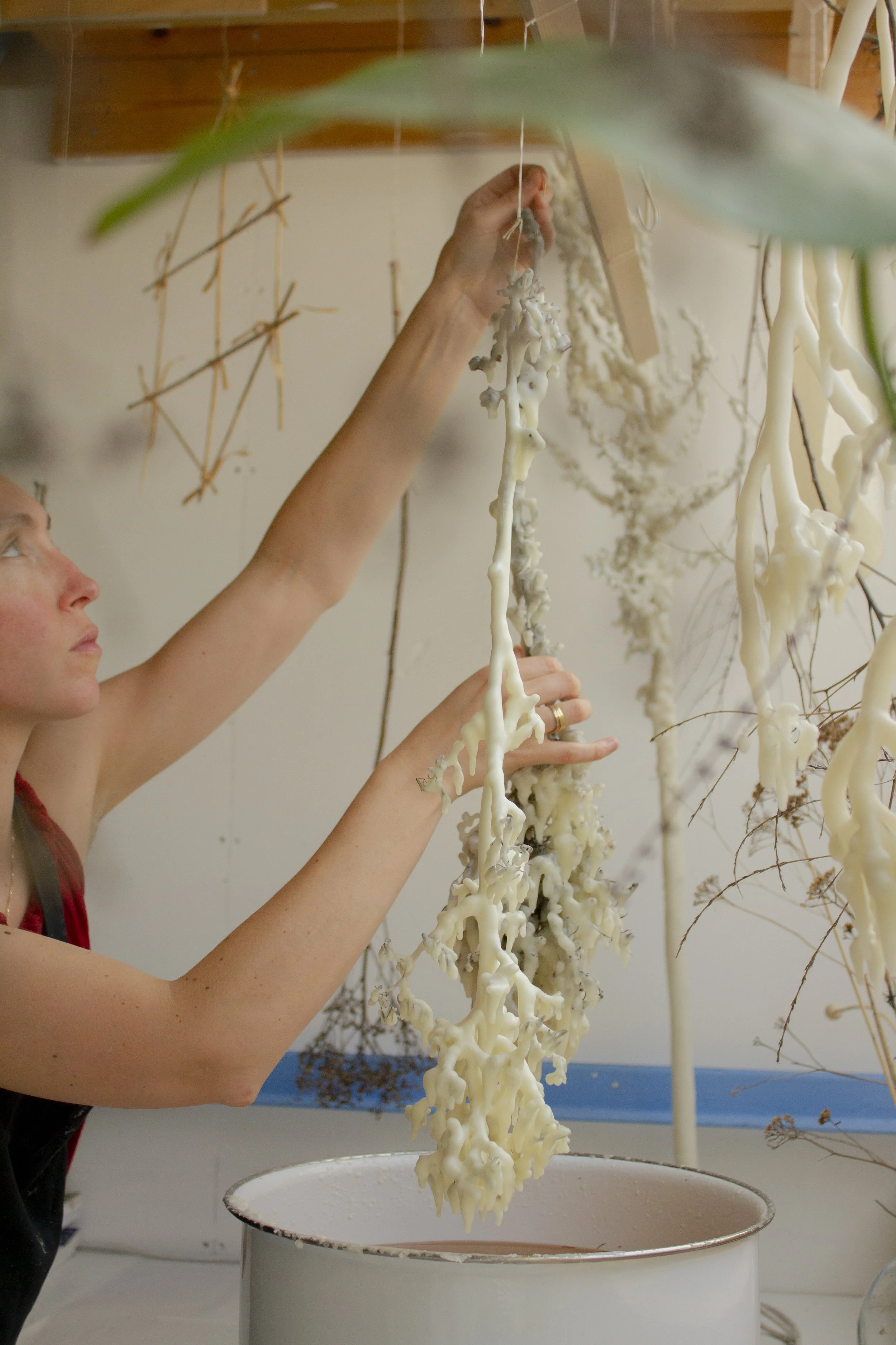 The Waxed Herbarium Workshop: Exploring Craft and the Anthropocene