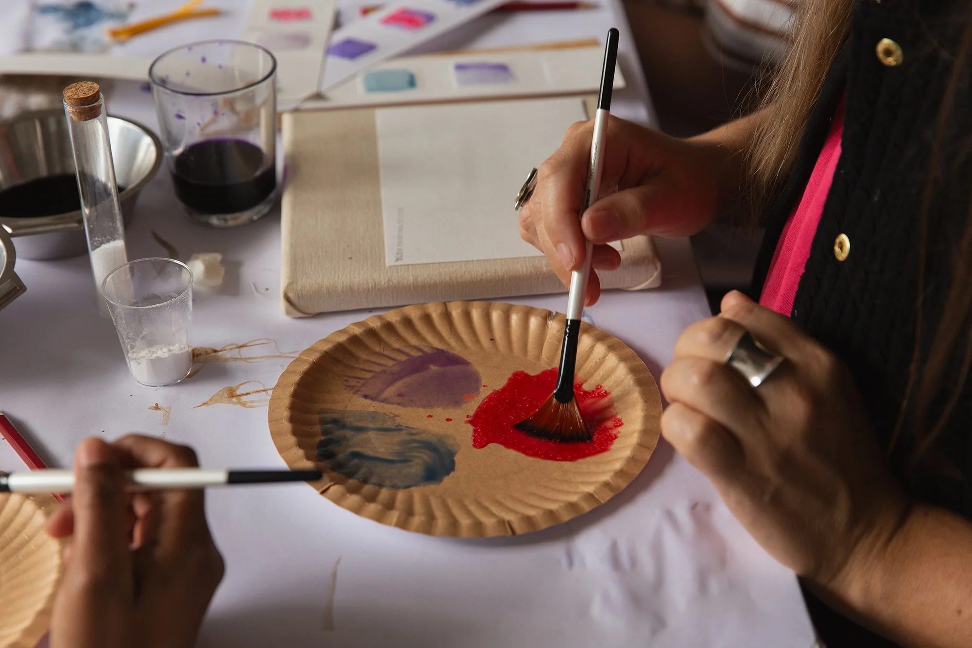 Colour Lab: From Field to Studio part 2 -Immersive Colour Making Workshops
