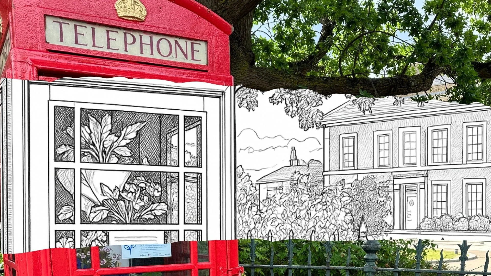 Telephone Box Greenhouse: Free Colouring Sheets - Collect and colour at home