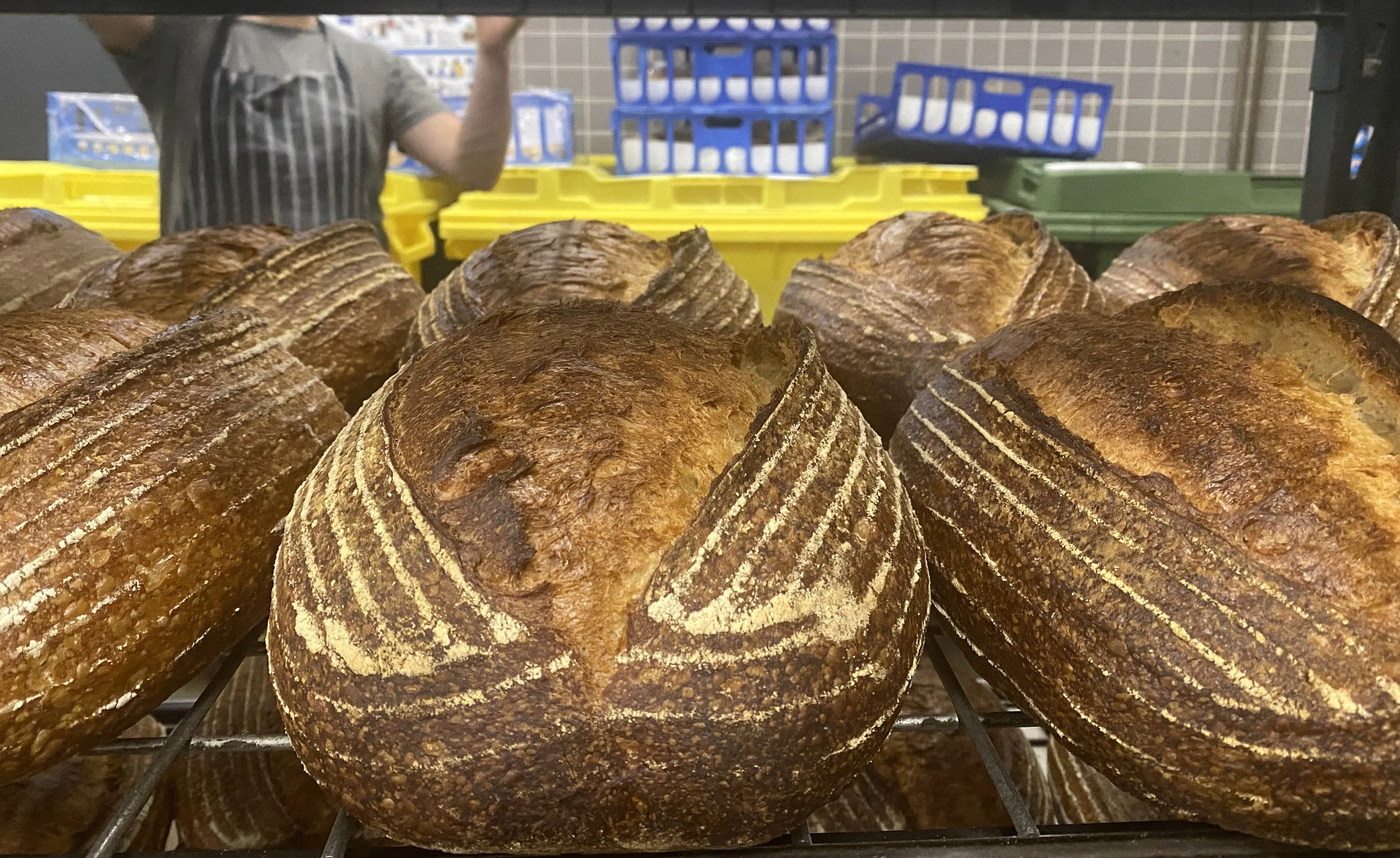 Breaking Bread: Bakery Walking Tour