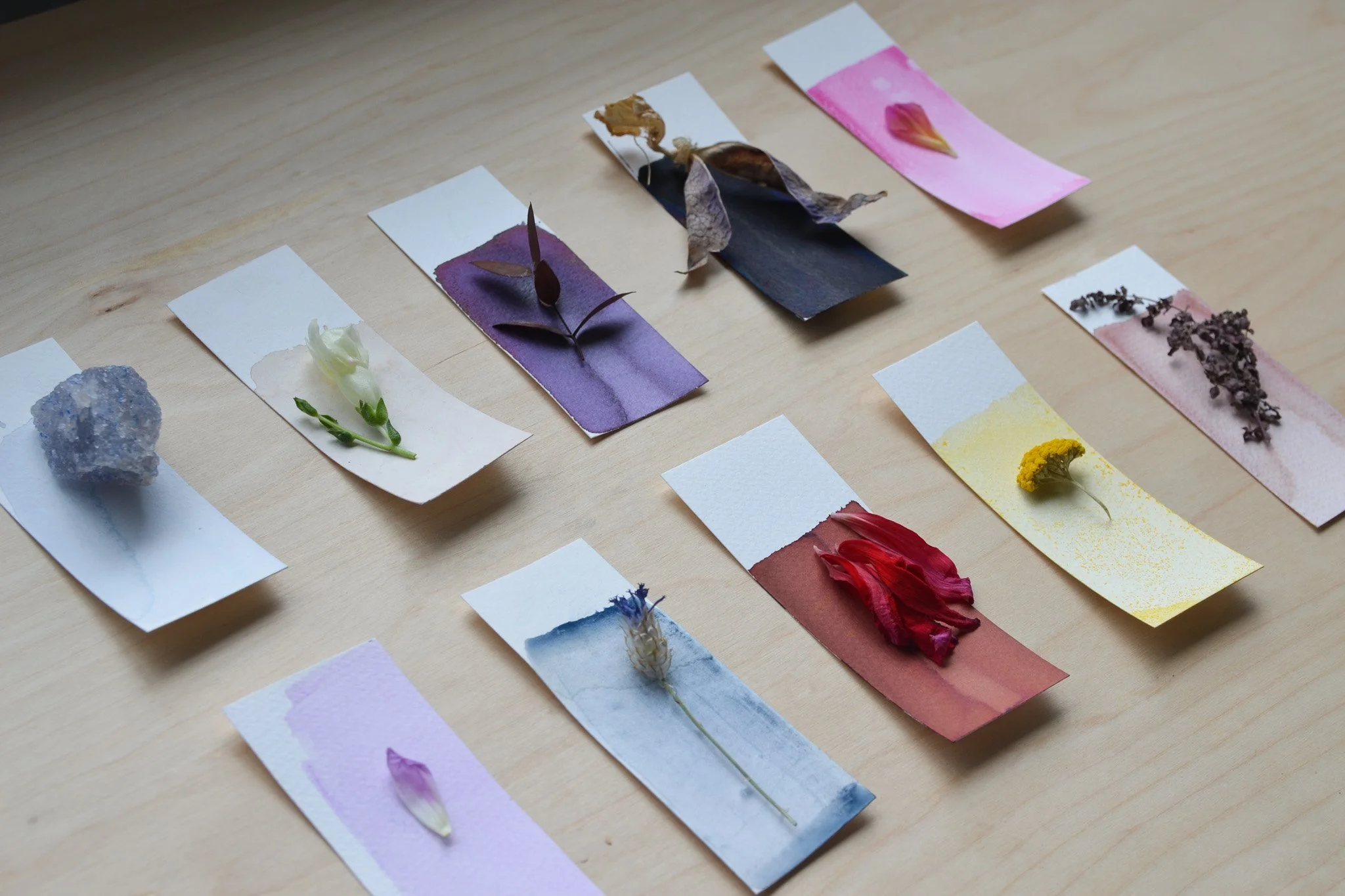 Colour Lab: From Field to Studio part 1 - An Afternoon Nature Colour Experience