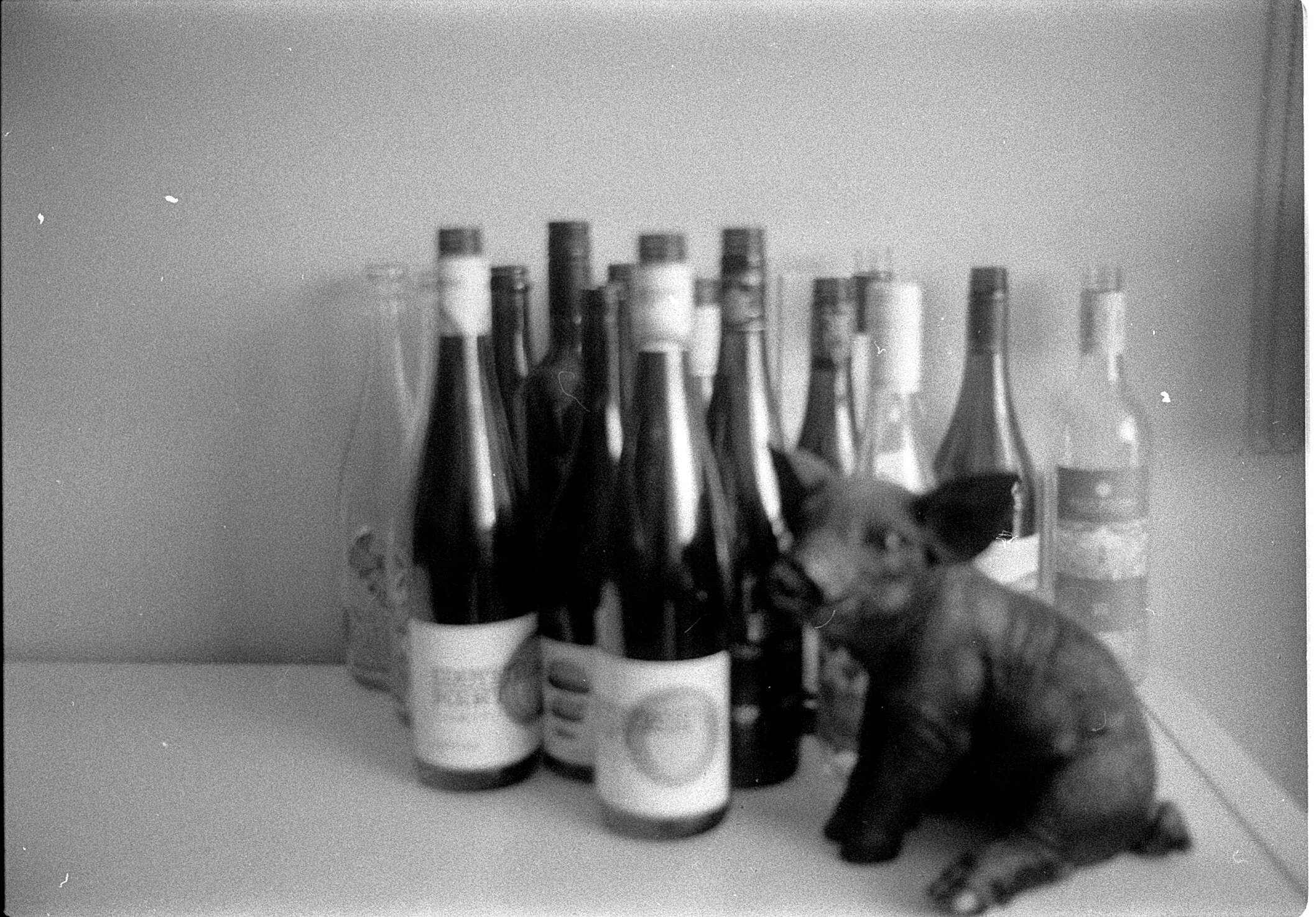 A black-and-white photograph of several bottles on a table, with a small plastic pig with large ears beside them. The bottles have varying labels and are arranged in a row.