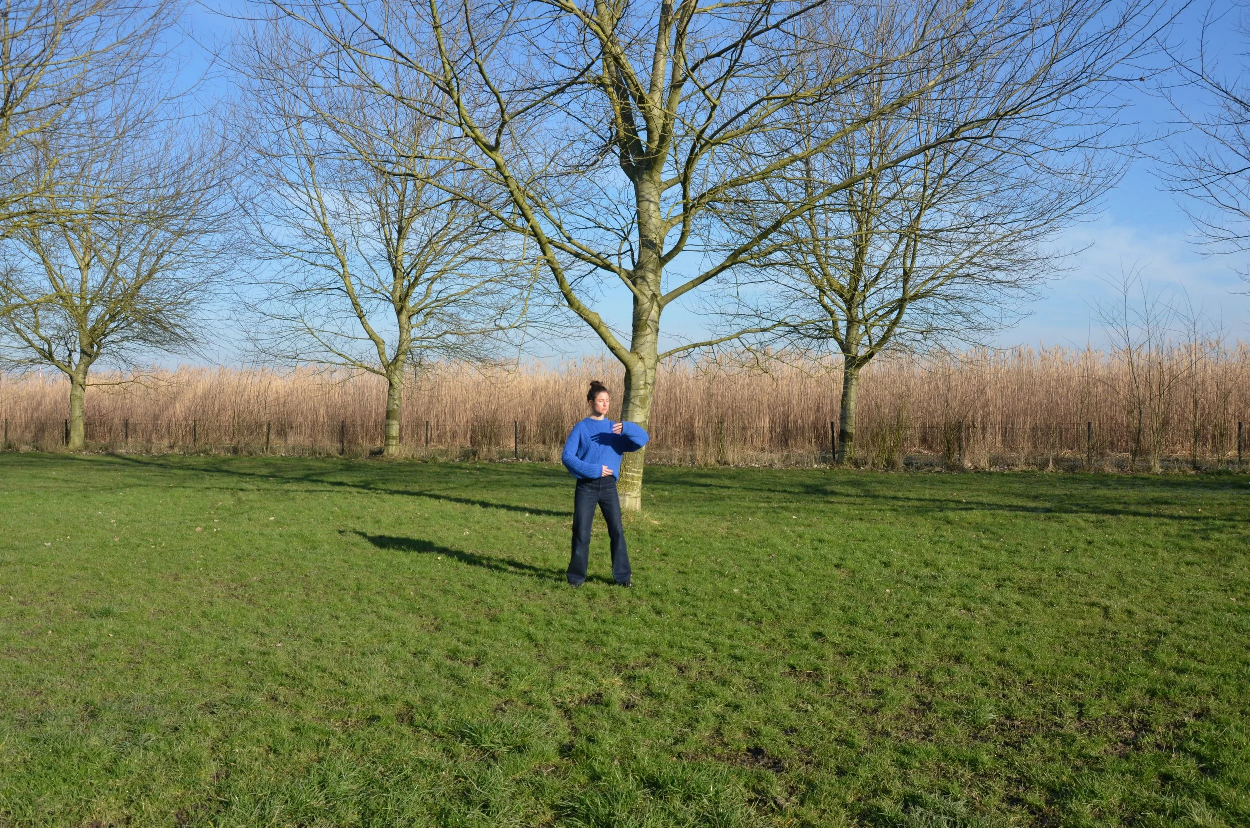 Person practicing Qigong with tree