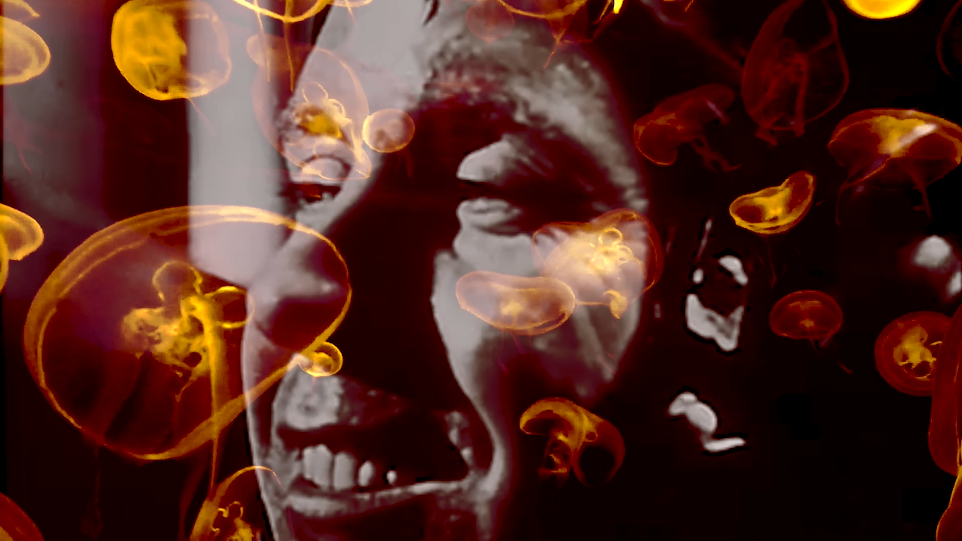 CANVAS CLIP.00_00_05_07.Still001.png