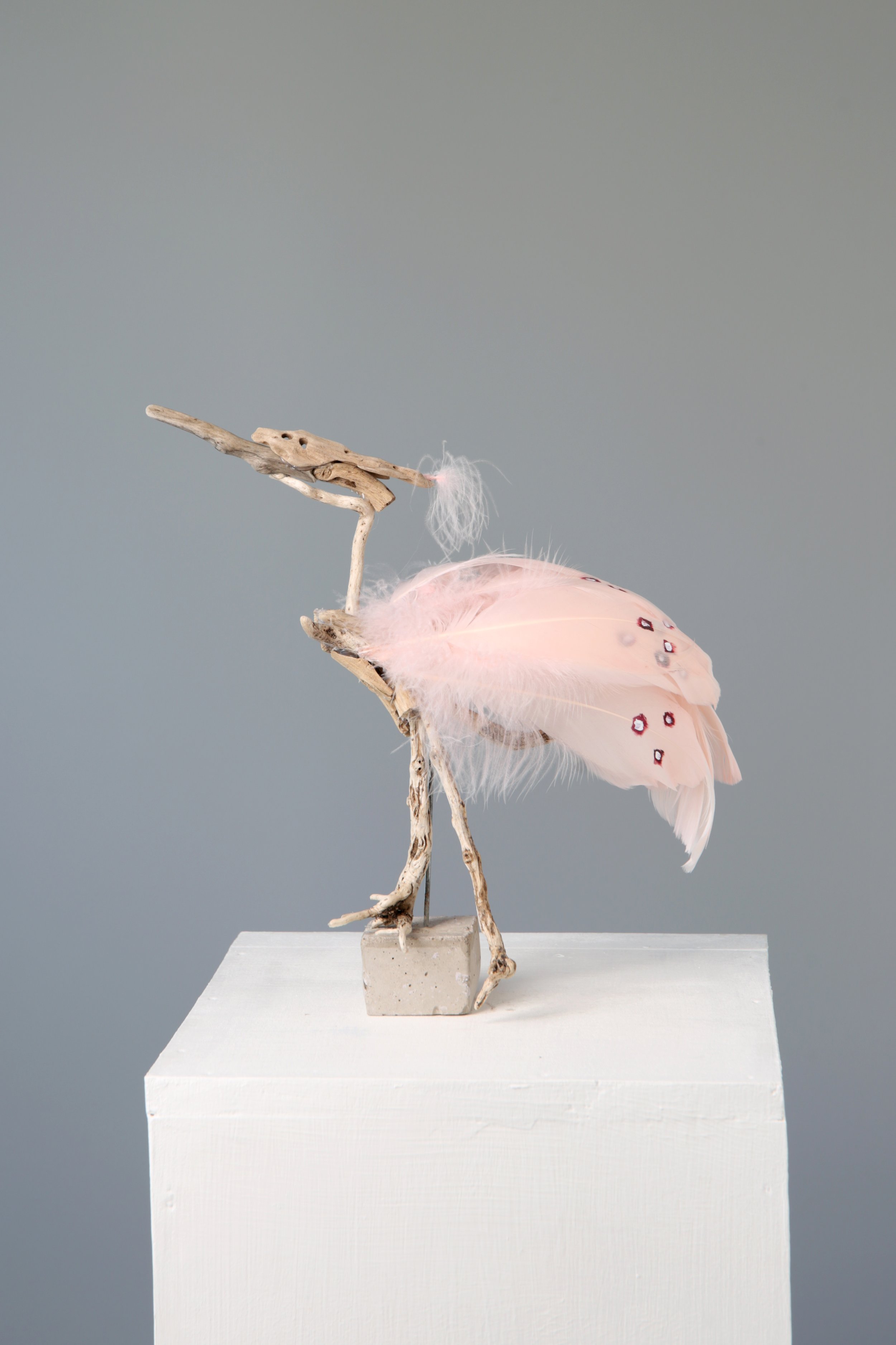 Pink Drift Bird