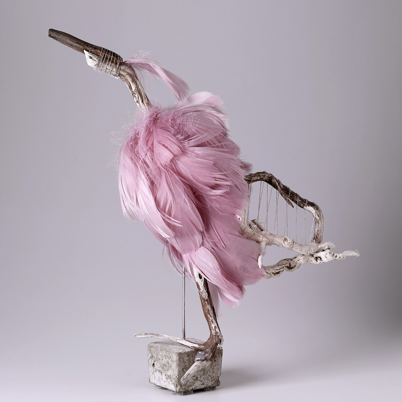 A new bird to my series of driftwood birds.

&rdquo;D o r i s  D a y&rdquo;  d r i f t  b i r d

32x25x13 cm
Glued driftwood, feathers, metal and concrete.

Photo: @pernillafotograf 

#driftwoodart #driftwoodartist #contemporaryart #naturalart #nutid