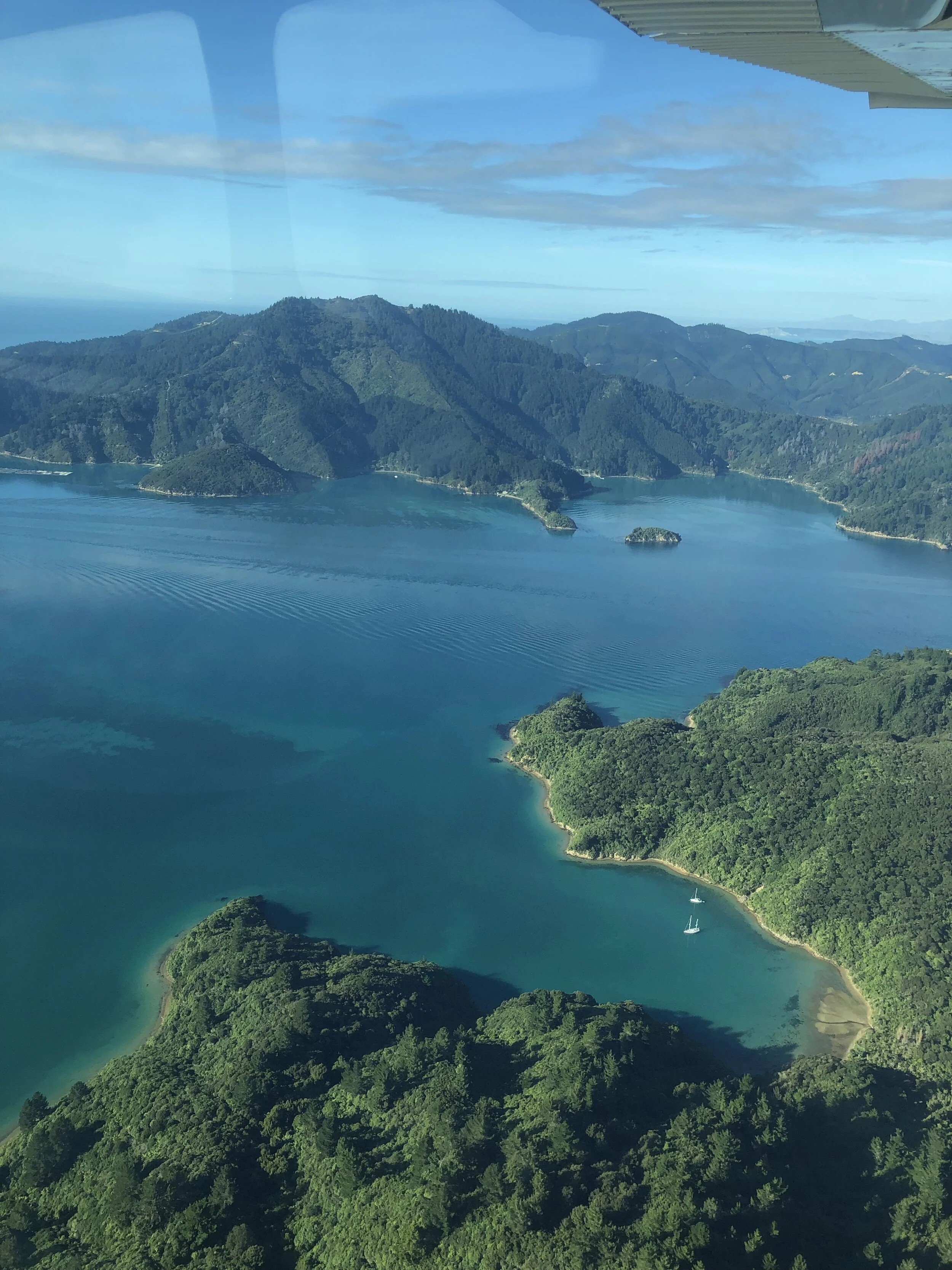 YAS' GUIDE TO NEW ZEALAND