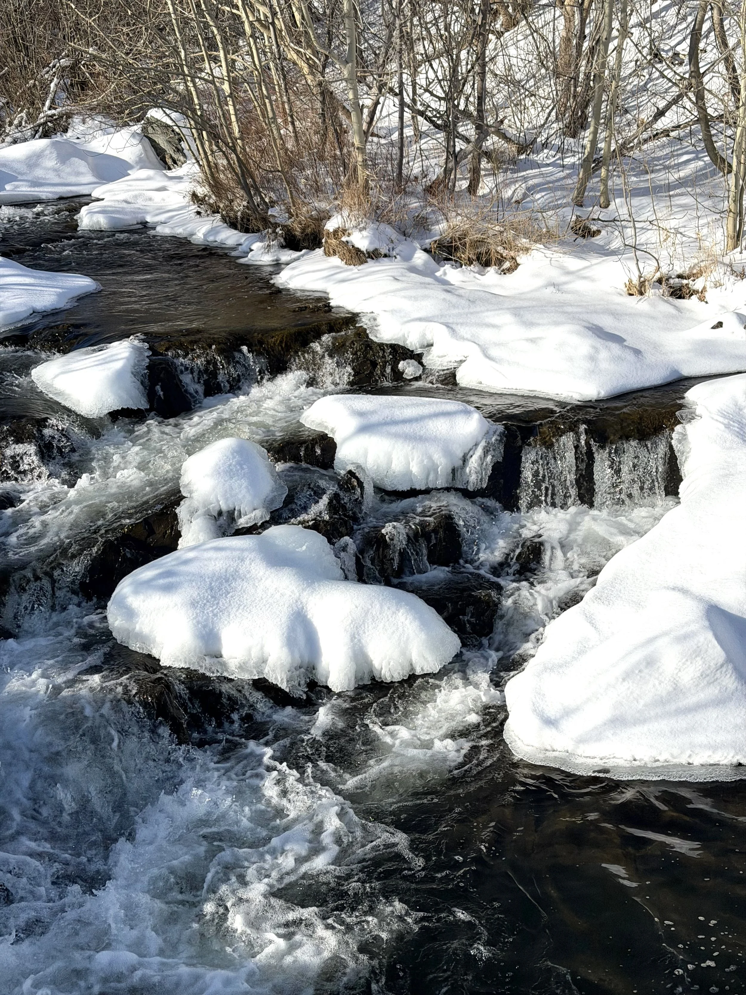 an icy rapids in late January, Rennie’s River, St. John’s