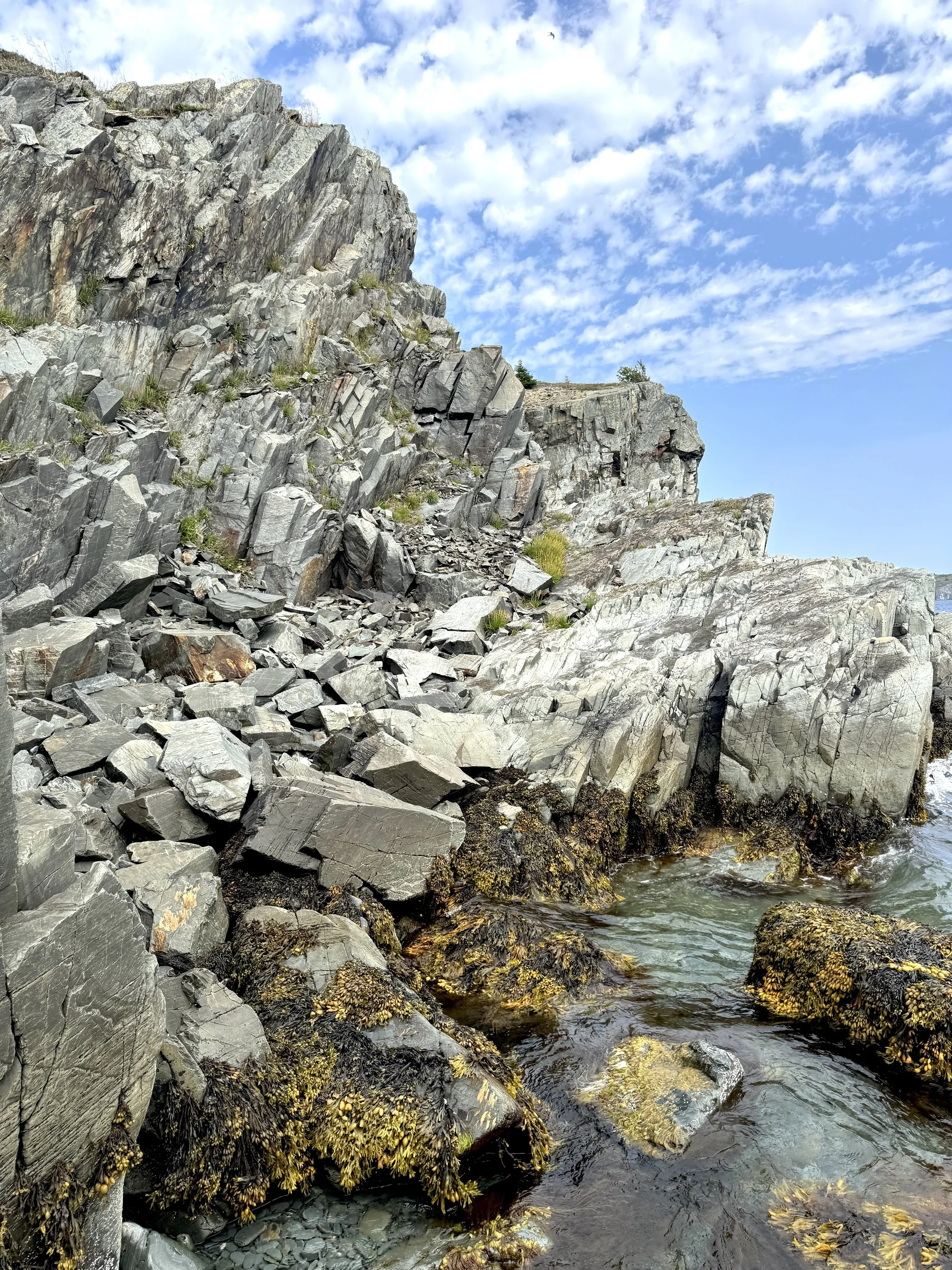 the seacoast at Bay Roberts