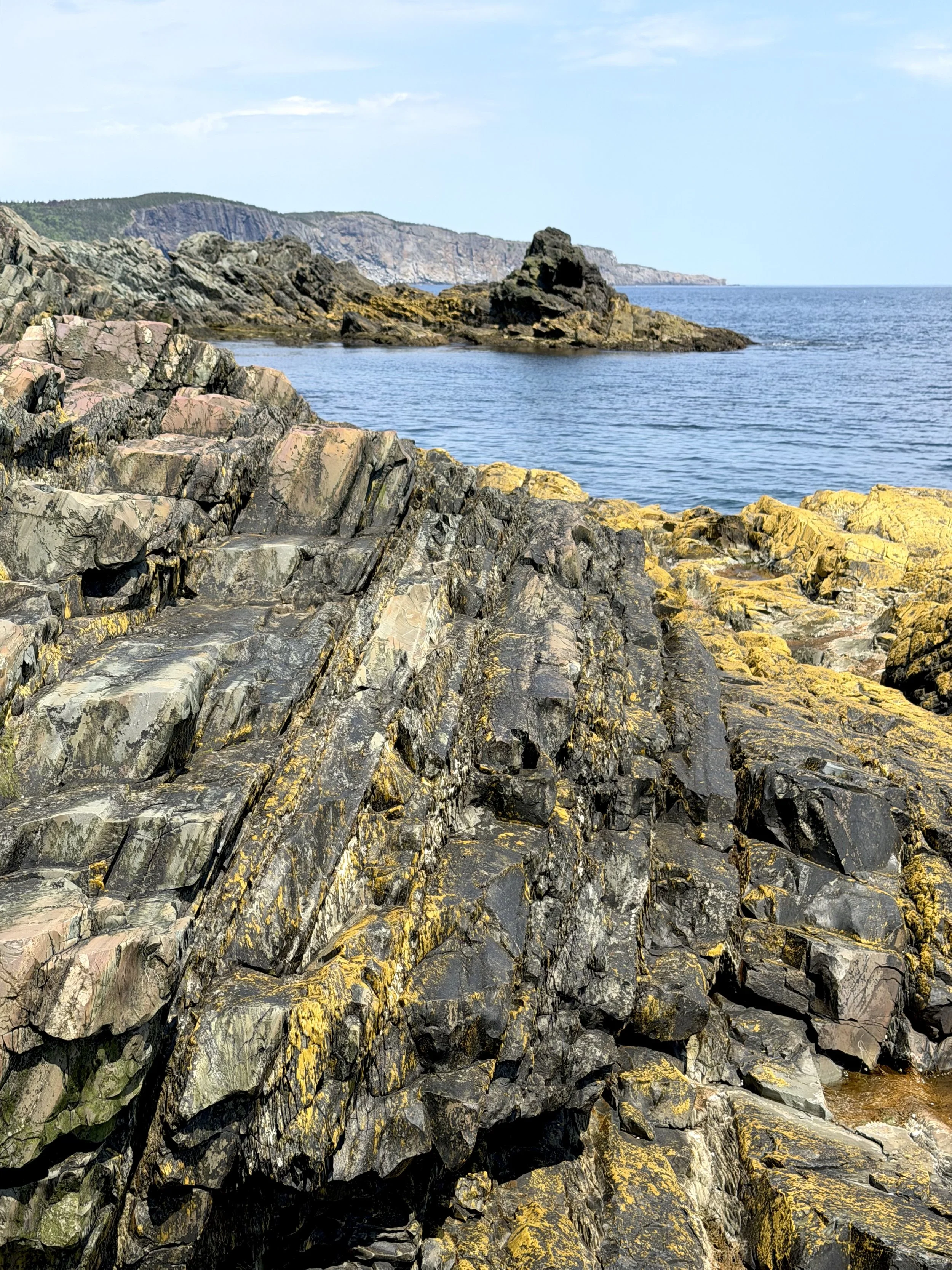 the Atlantic coast near Torbay