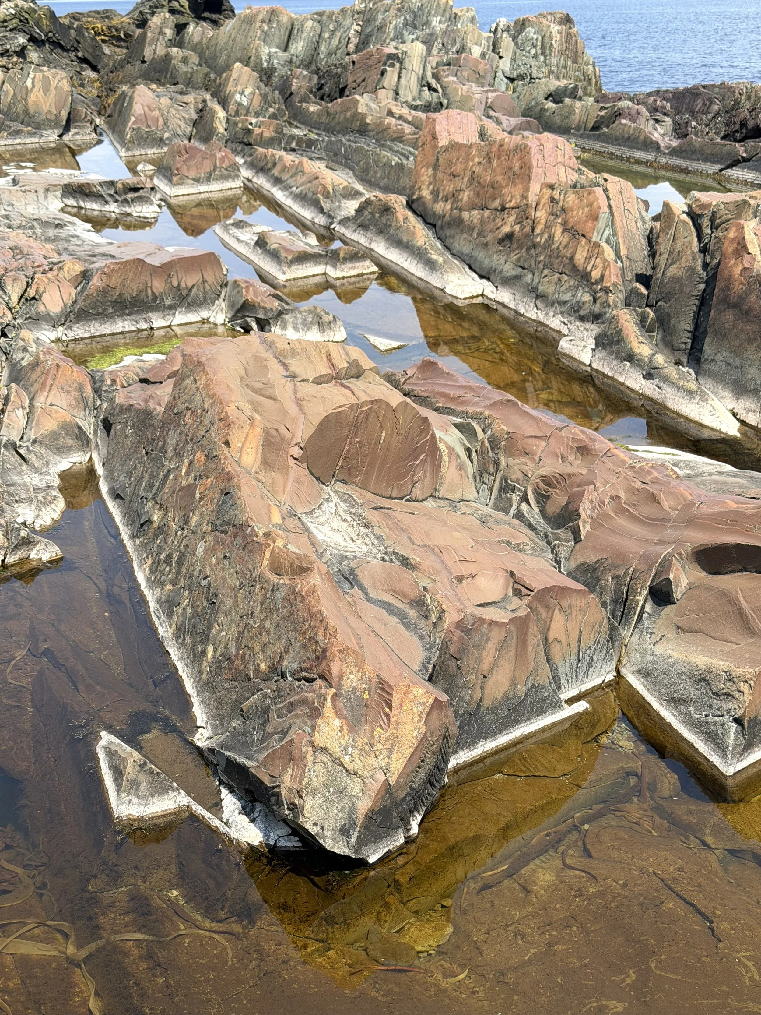 coastal rocks and tidal pools, near Torbay