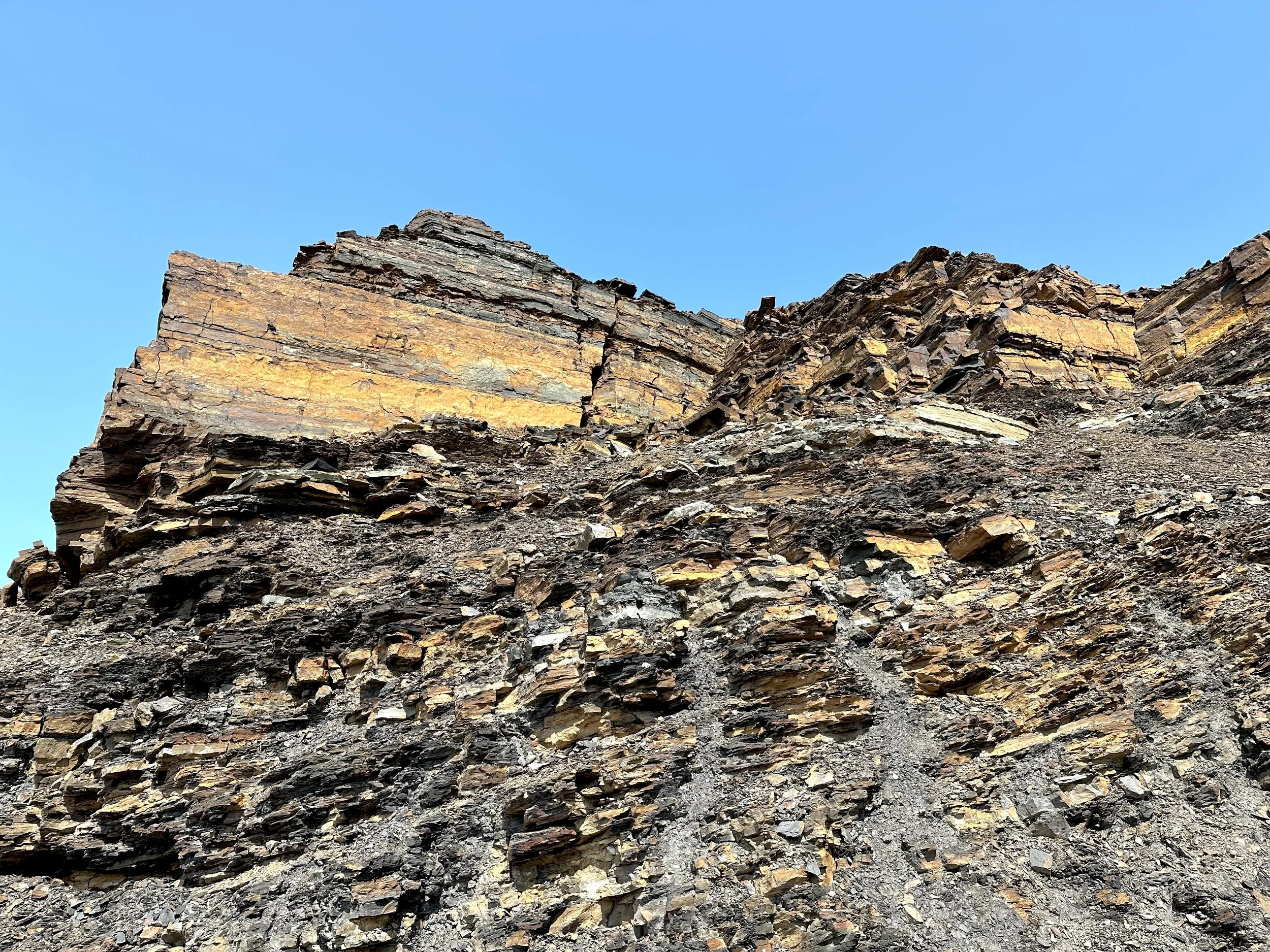 Grebe's Nest, Bell Island