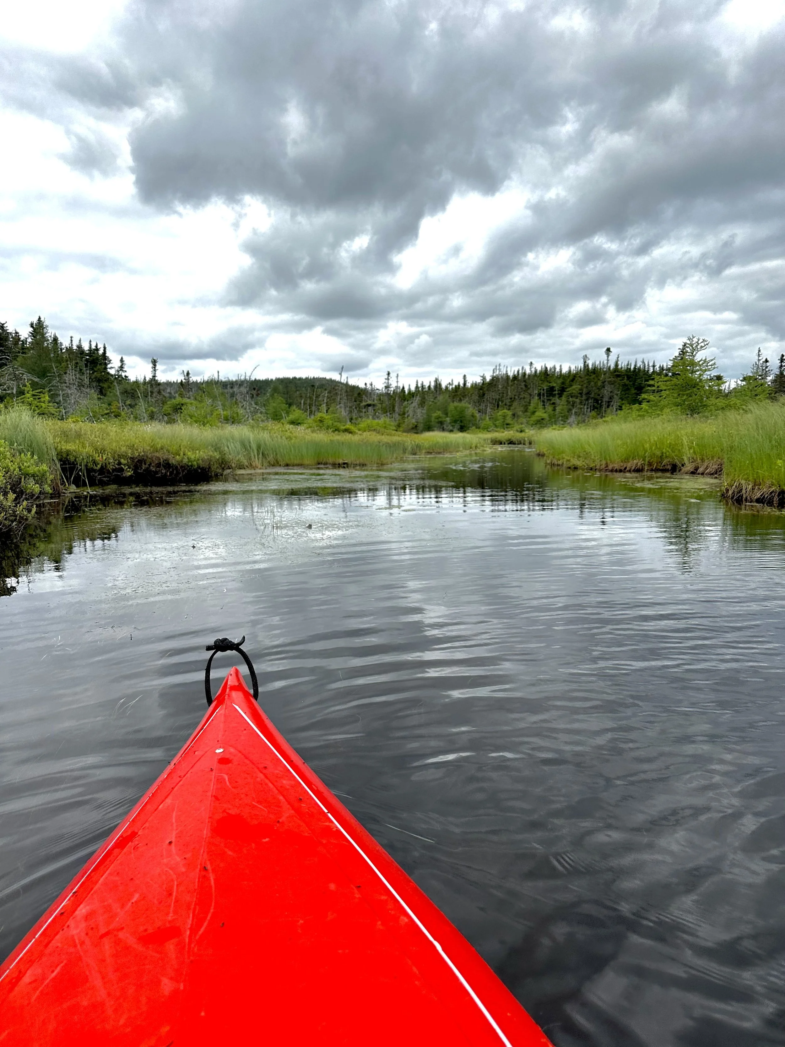 kayaking near Makinsons