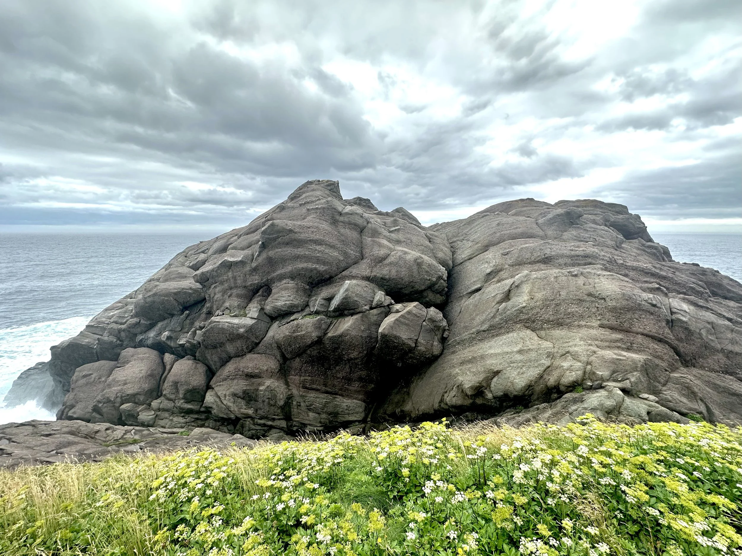 Torbay Point, Outer Cove