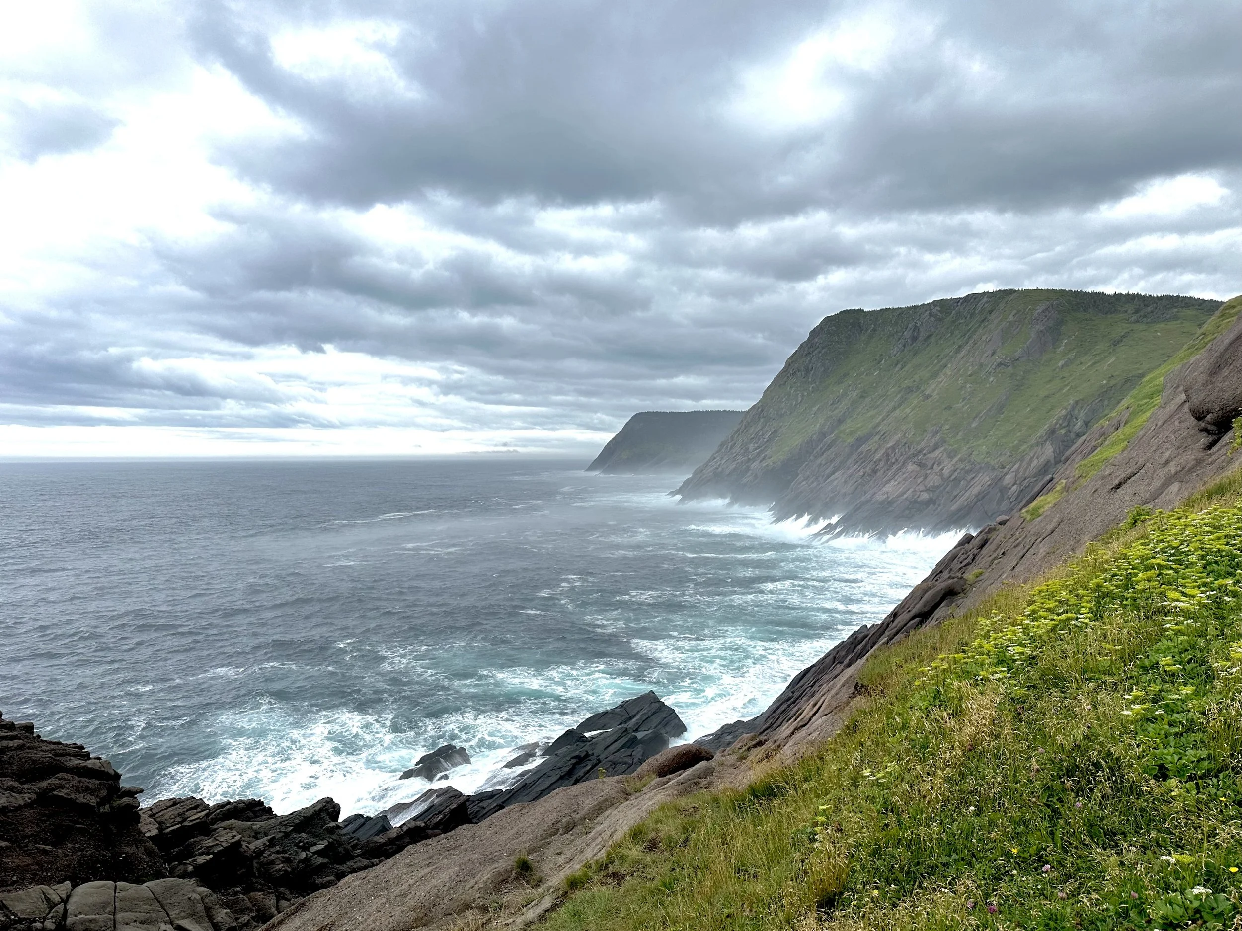 a view of the Atlantic from Torbay Point
