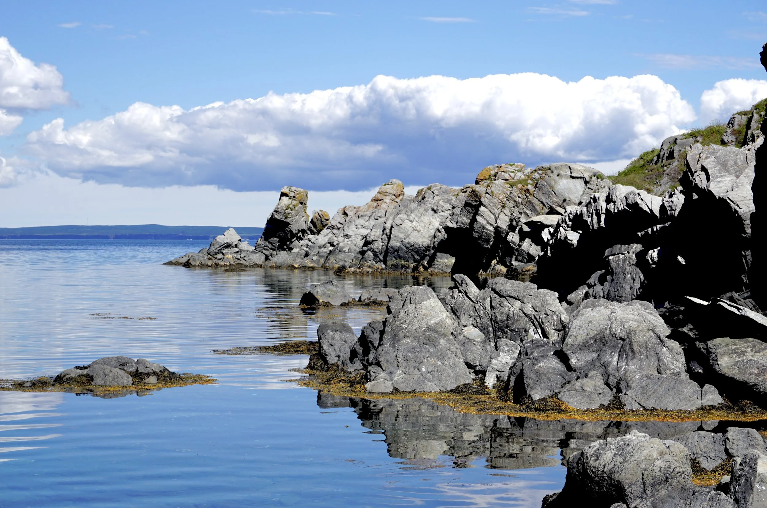 the shoreline at Port de Grave