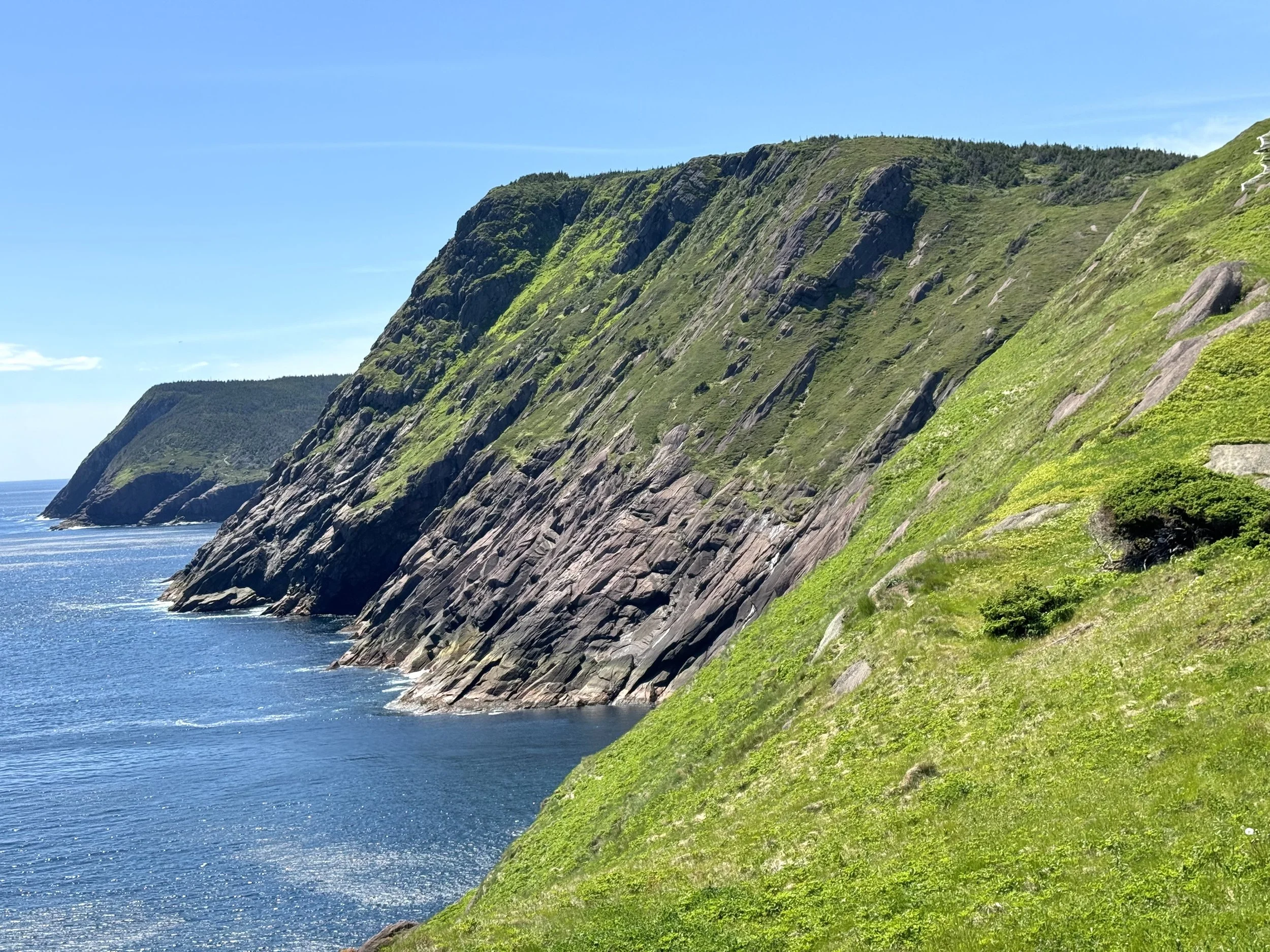 Red Cliff from Torbay Point