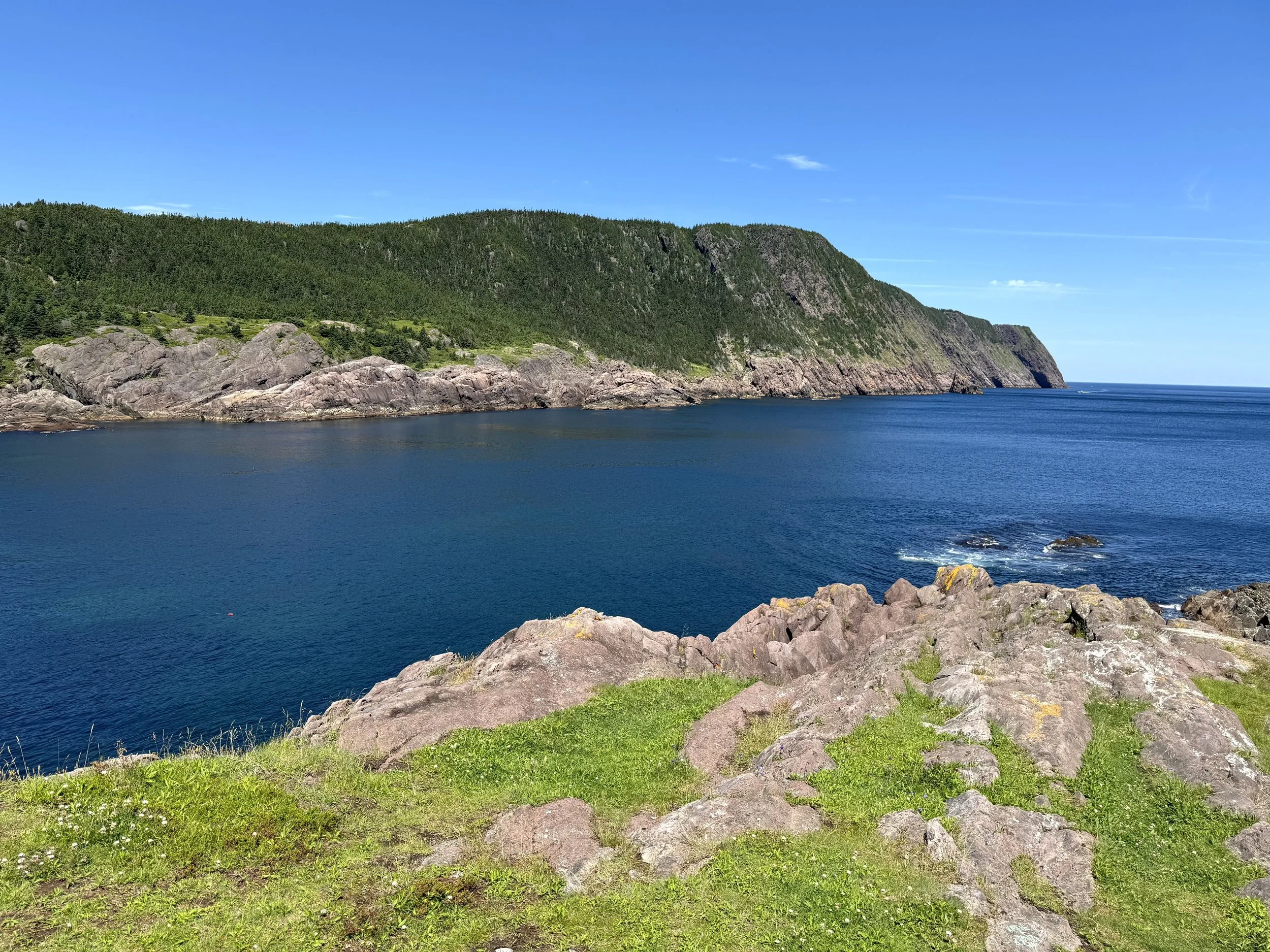 Logy Bay