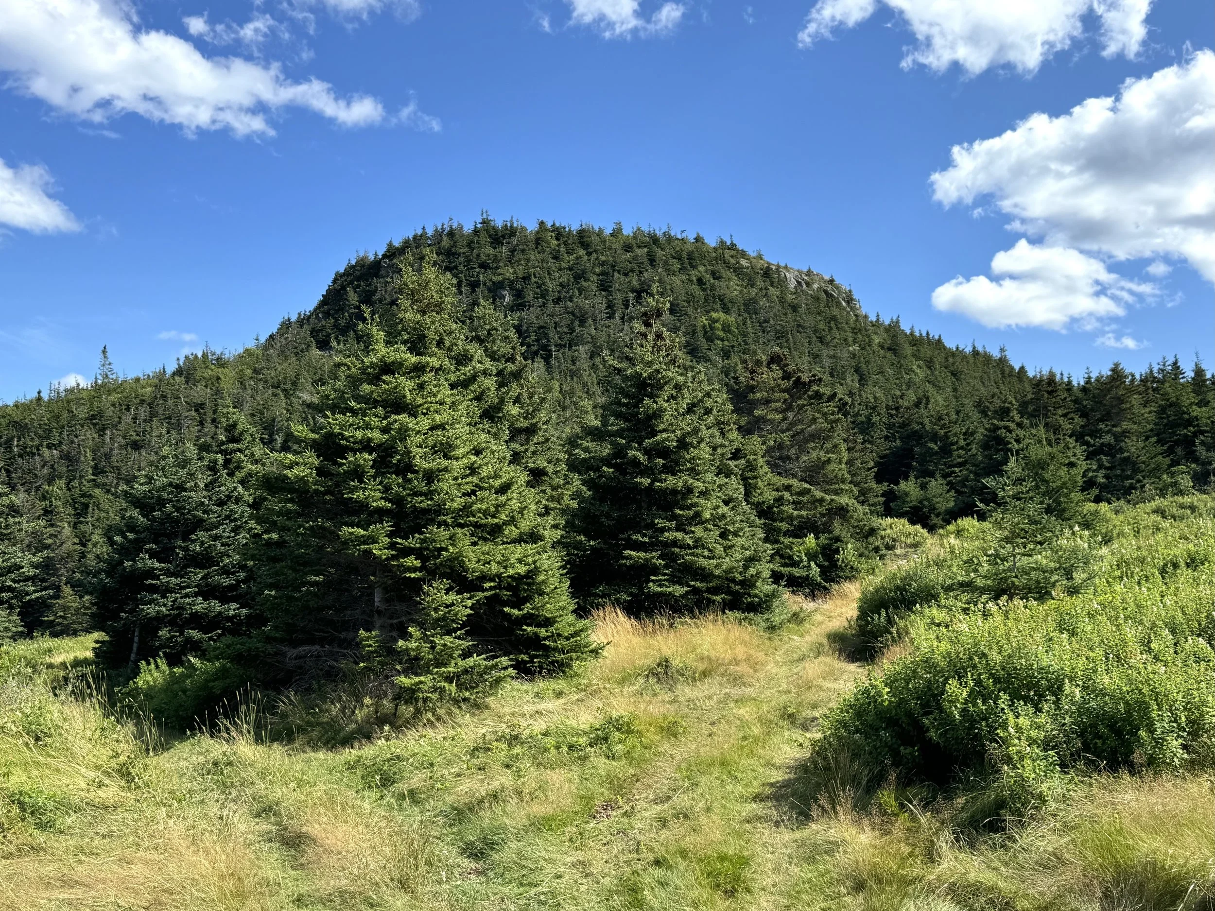 Burnt Head Trail, Cupids