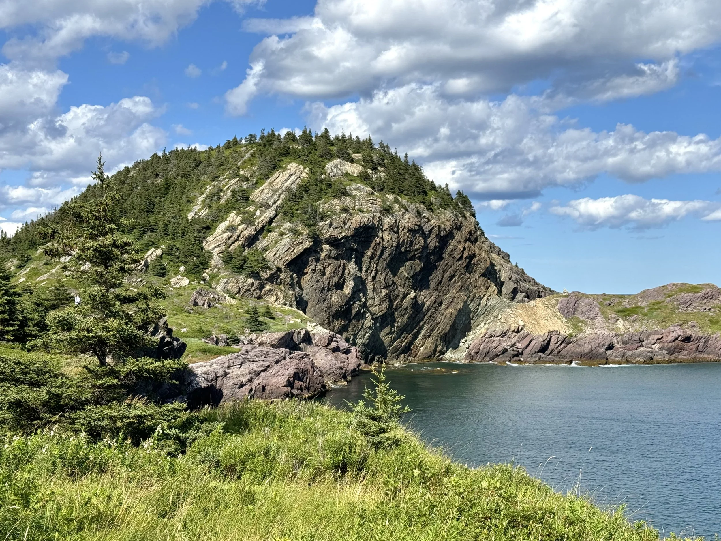 Burnt Head Trail, Cupids