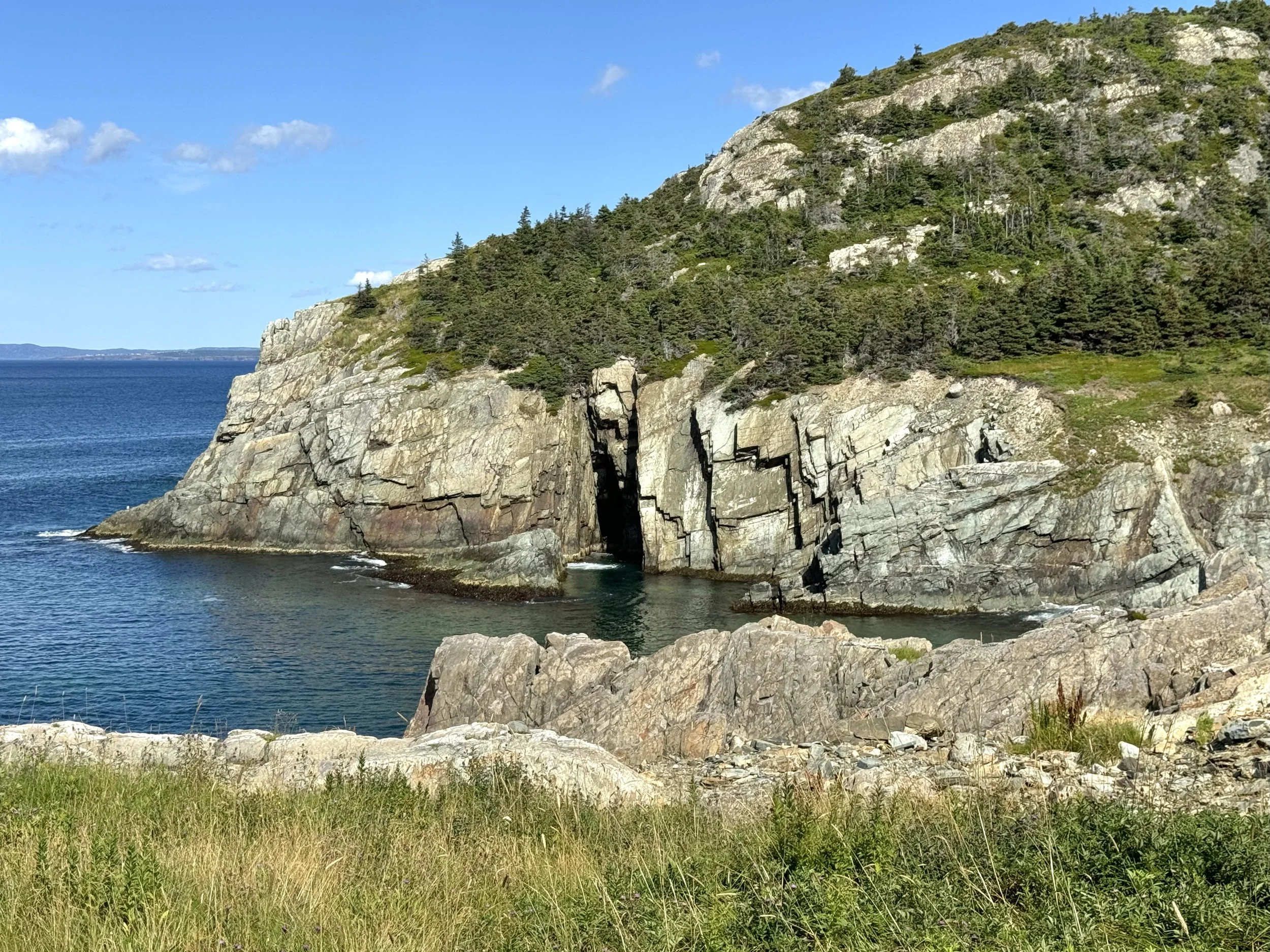 Burnt Head Trail, Cupids