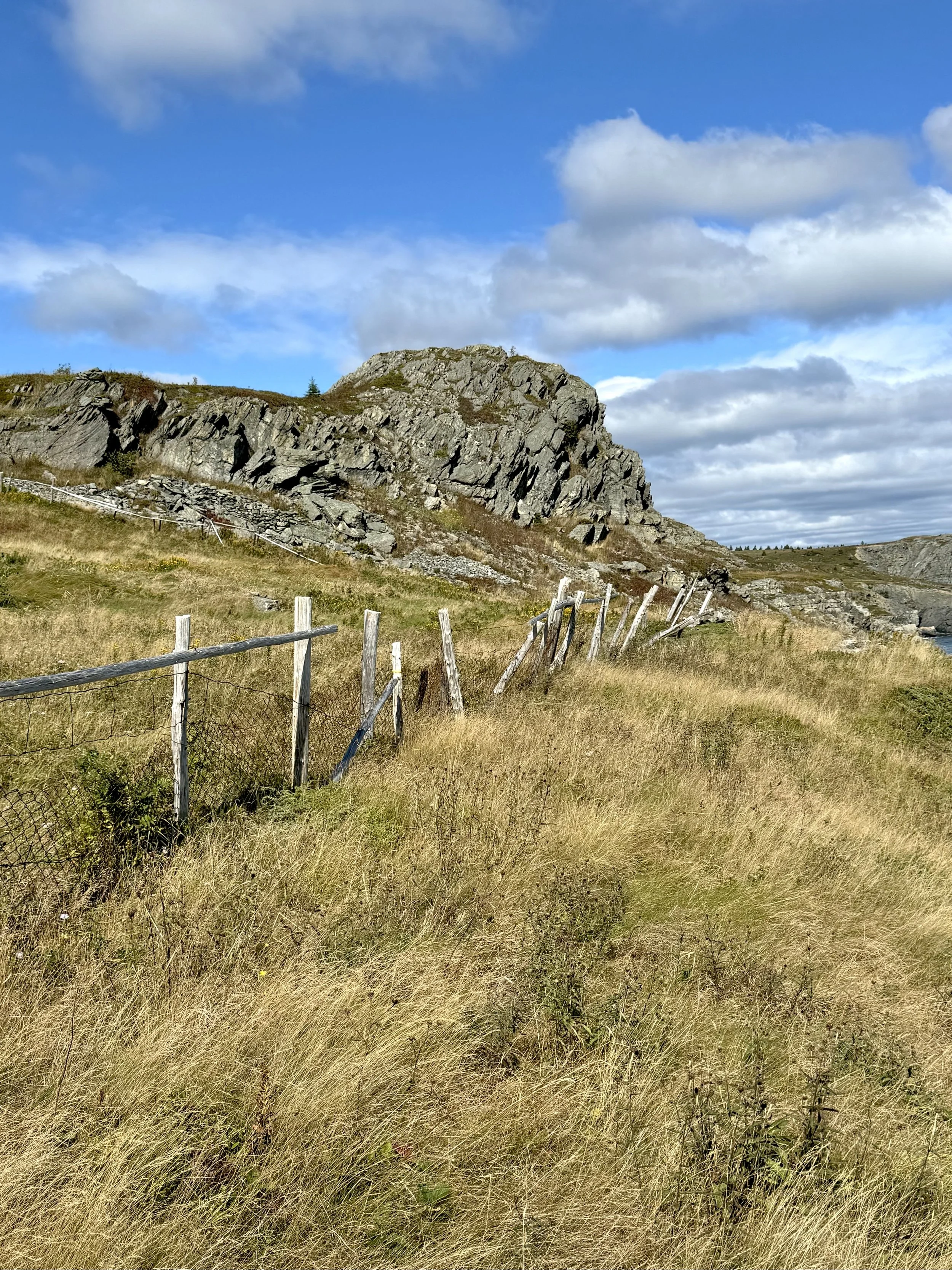 coastal trail, Upper Island Cove