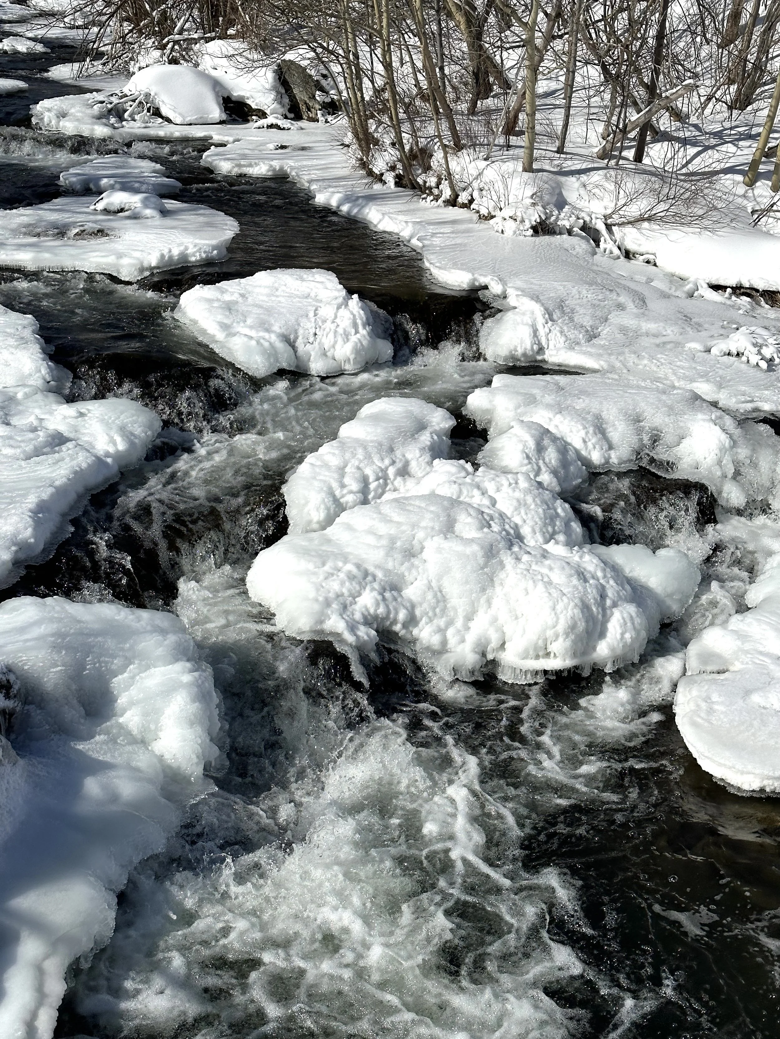 Rennie's River, early March