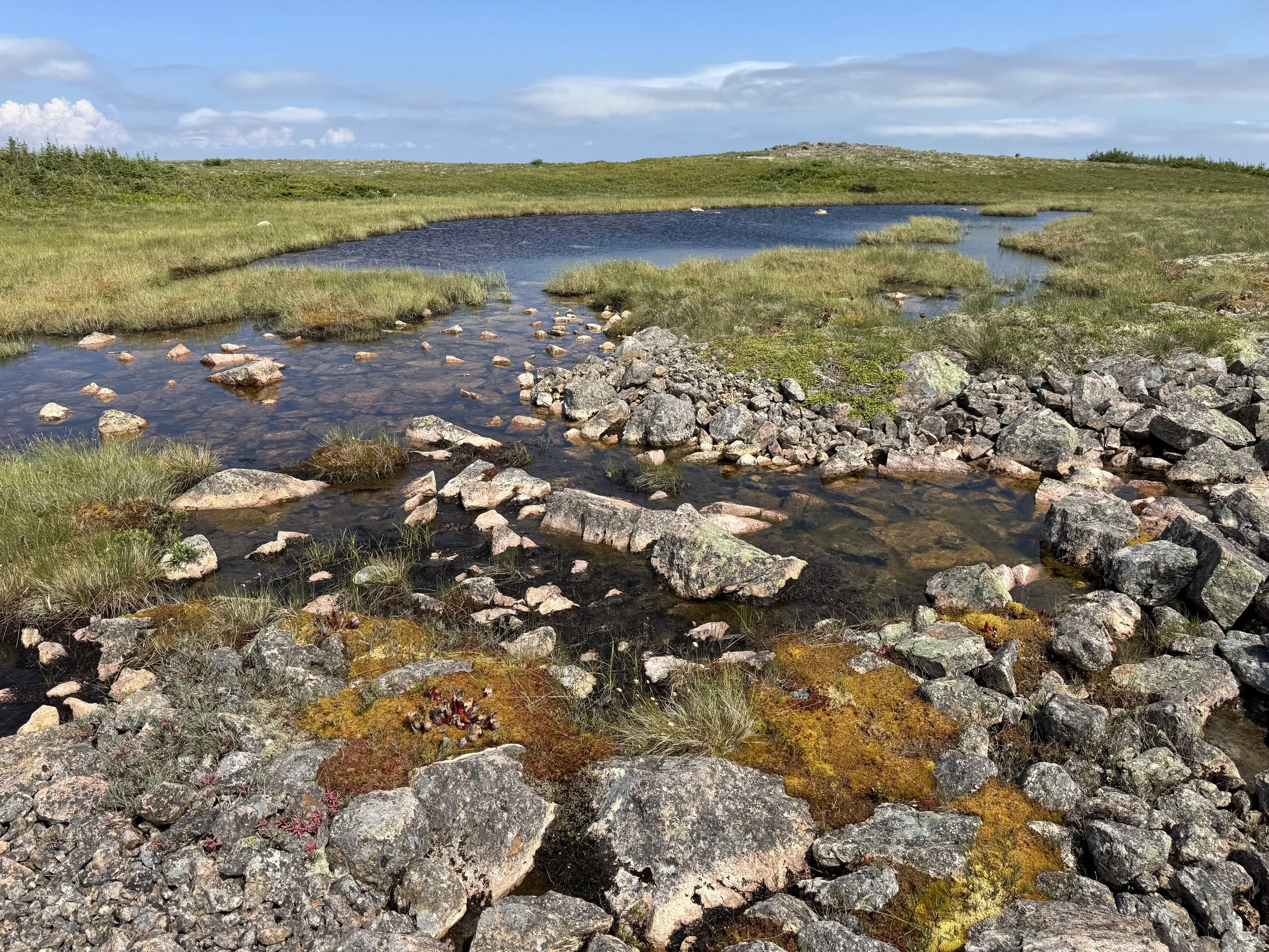 Hawke Hill Ecological Reserve