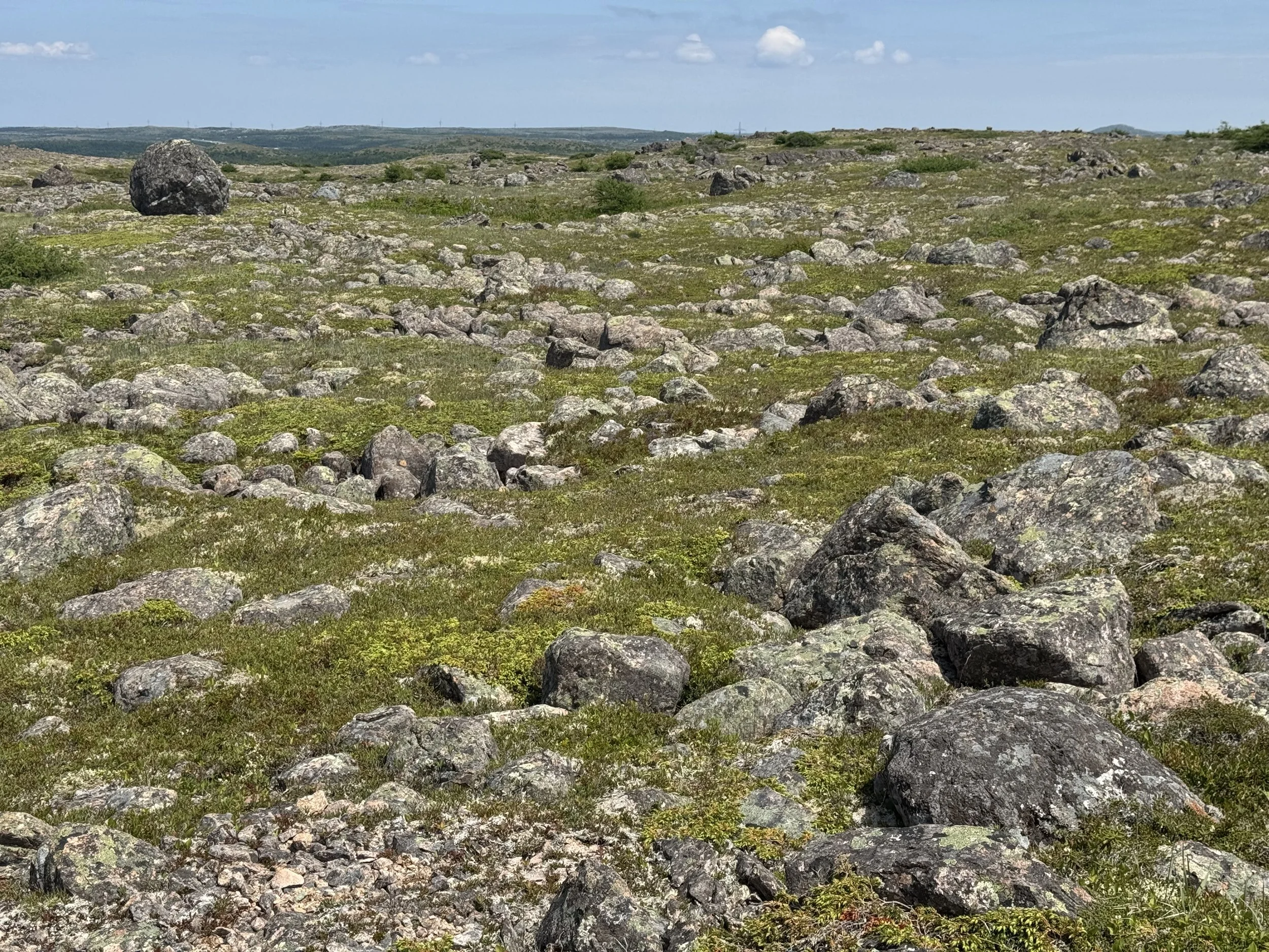 Hawke Hill Ecological Reserve