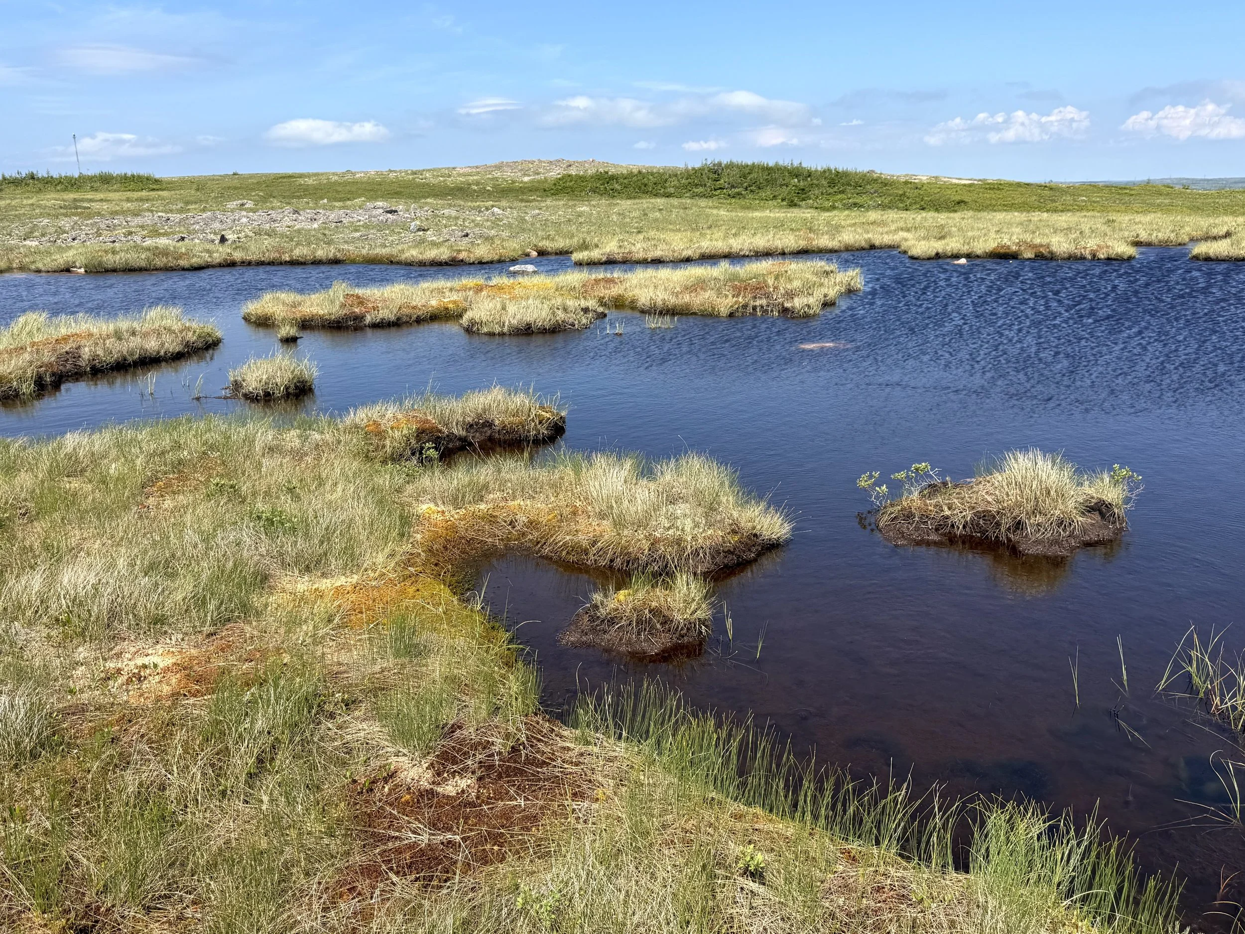 Hawke Hill Ecological Reserve