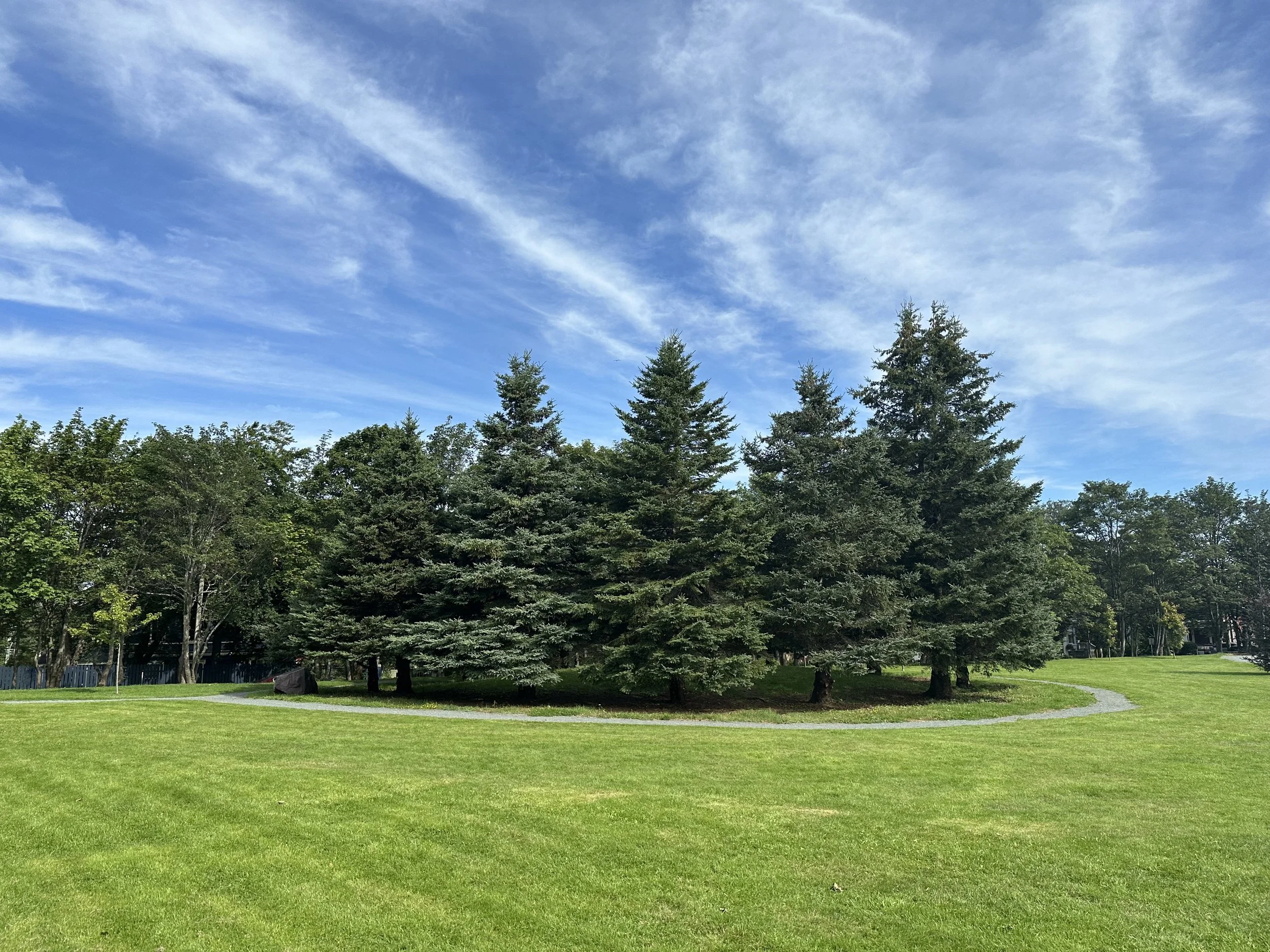 Peace Grove, Bannerman Park