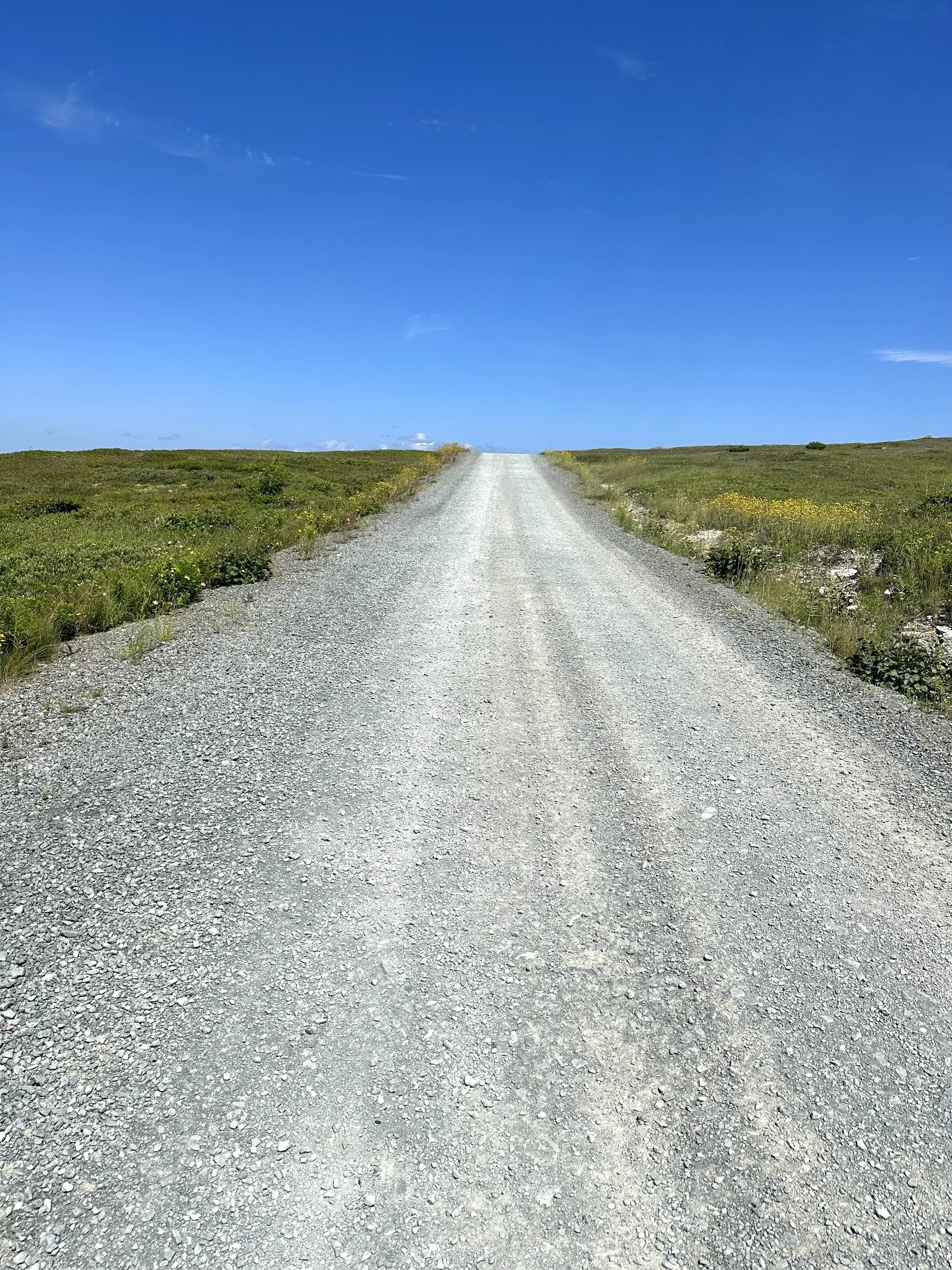 the road to the lighthouse, Port de Grave