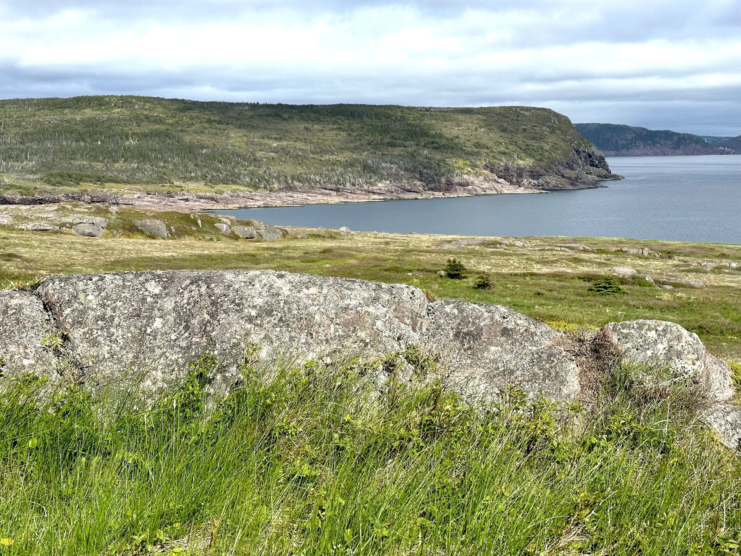 Blackhead from Cape Spear
