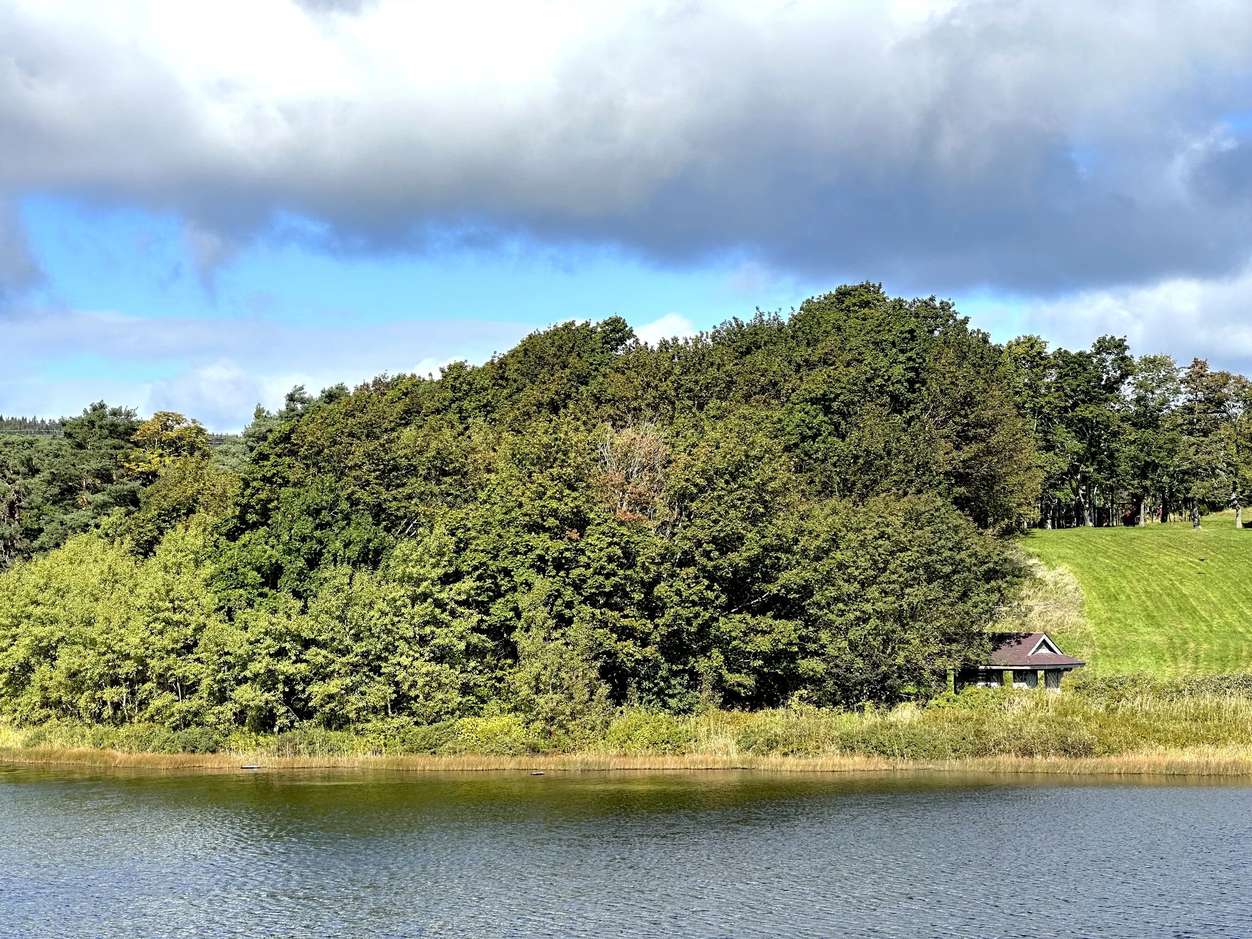 Long Pond, early October