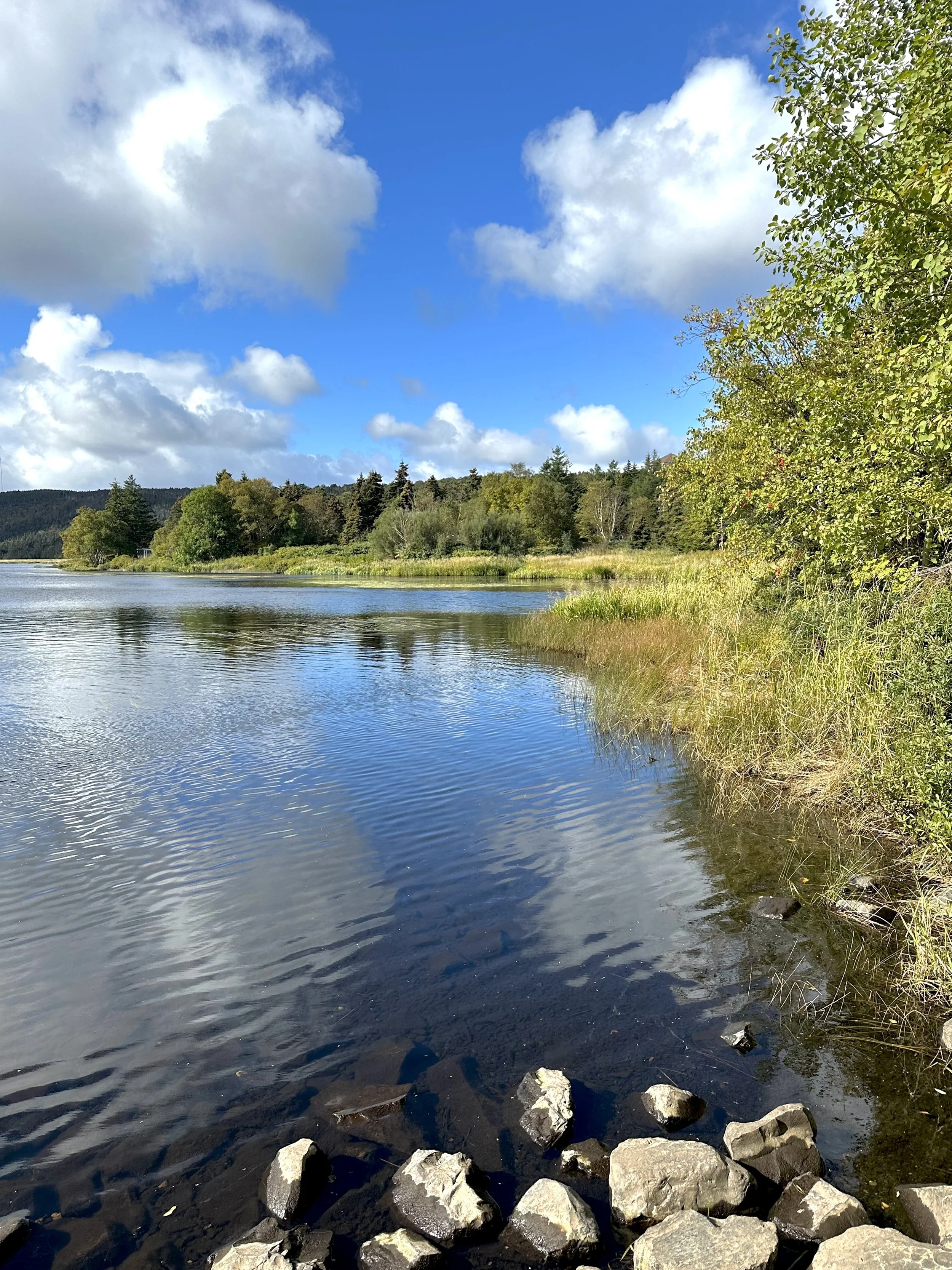 Long Pond, early October