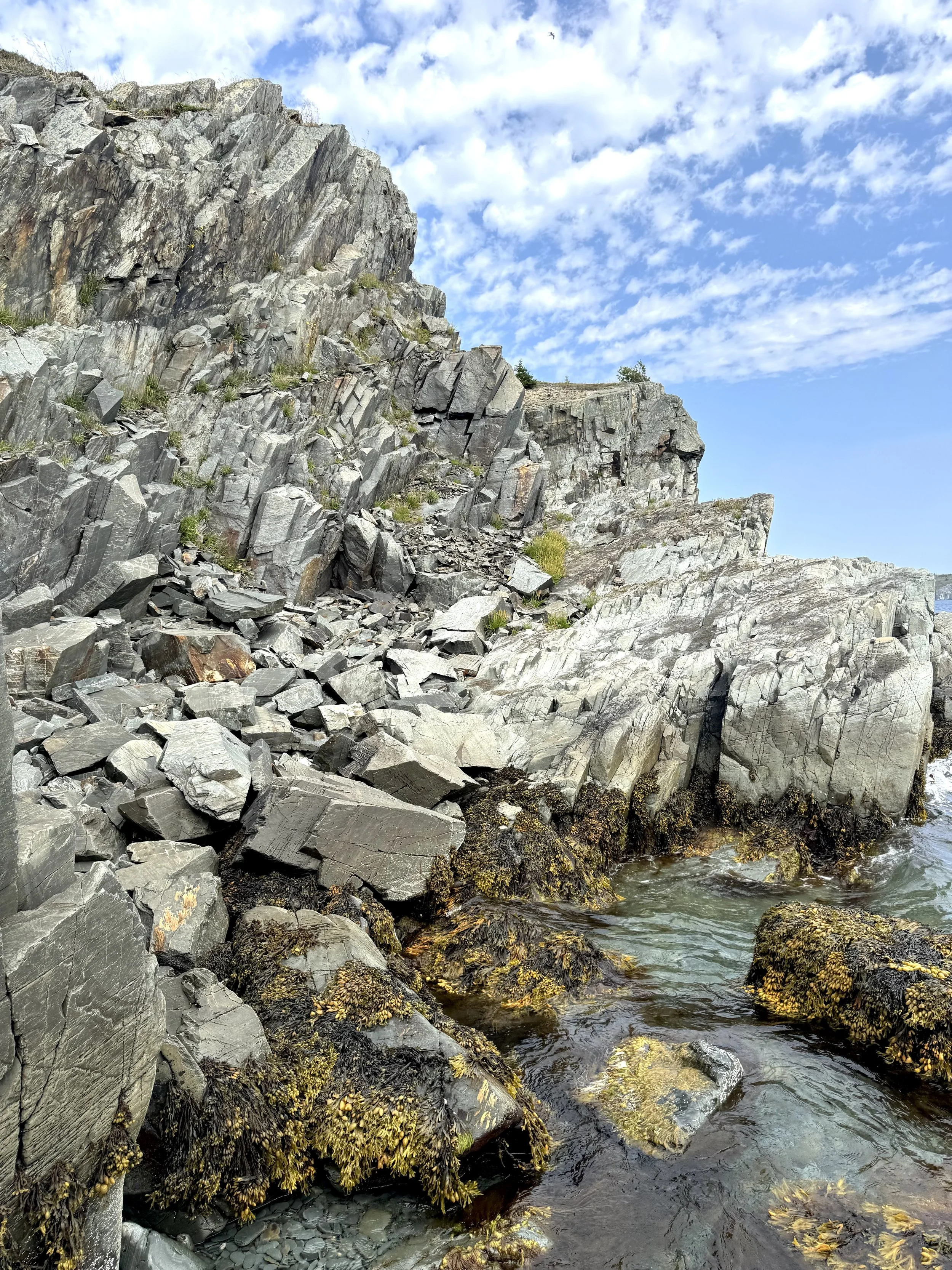 Shoreline Heritage Trail, Bay Roberts