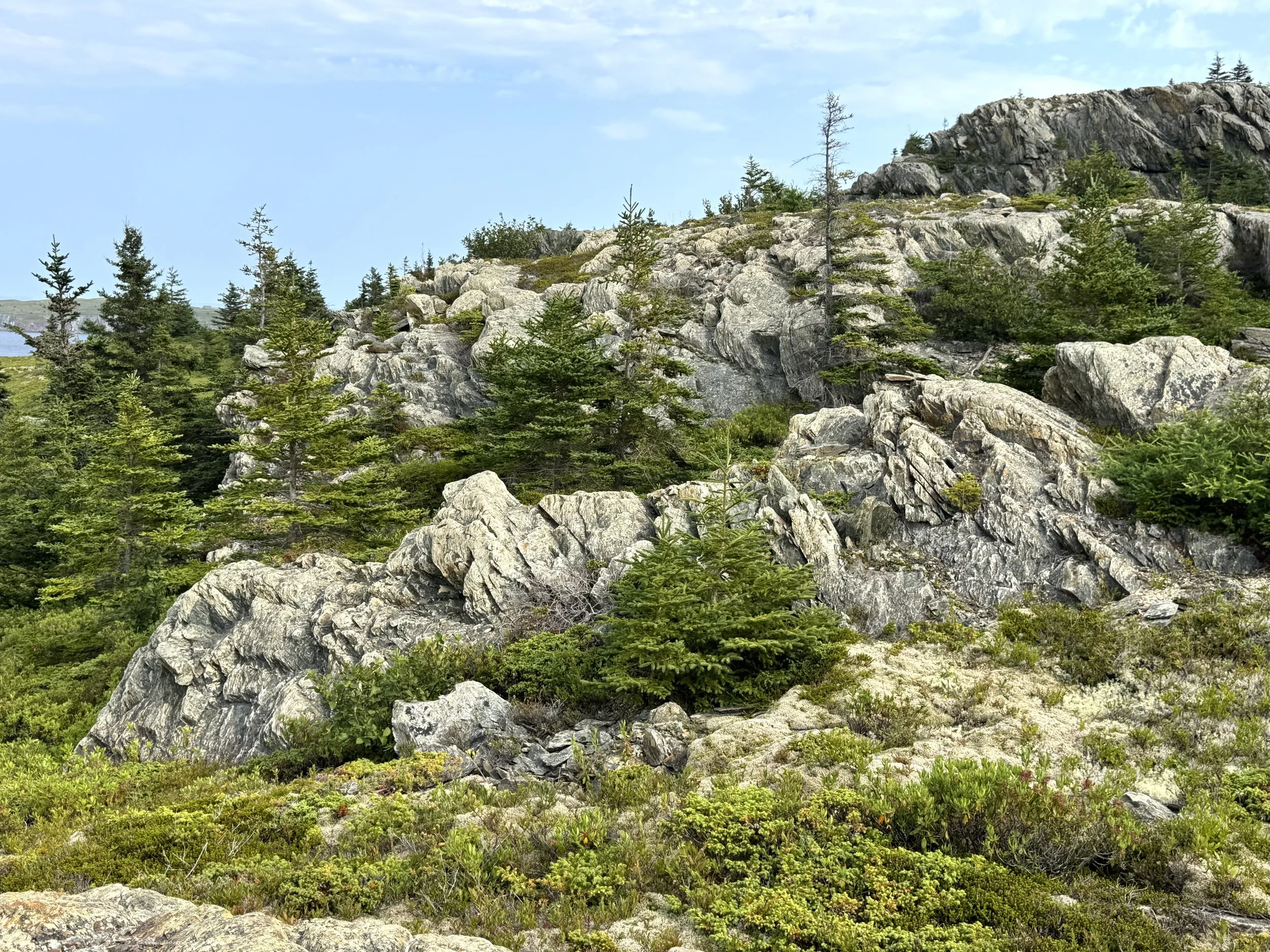 Shoreline Heritage Trail, Bay Roberts