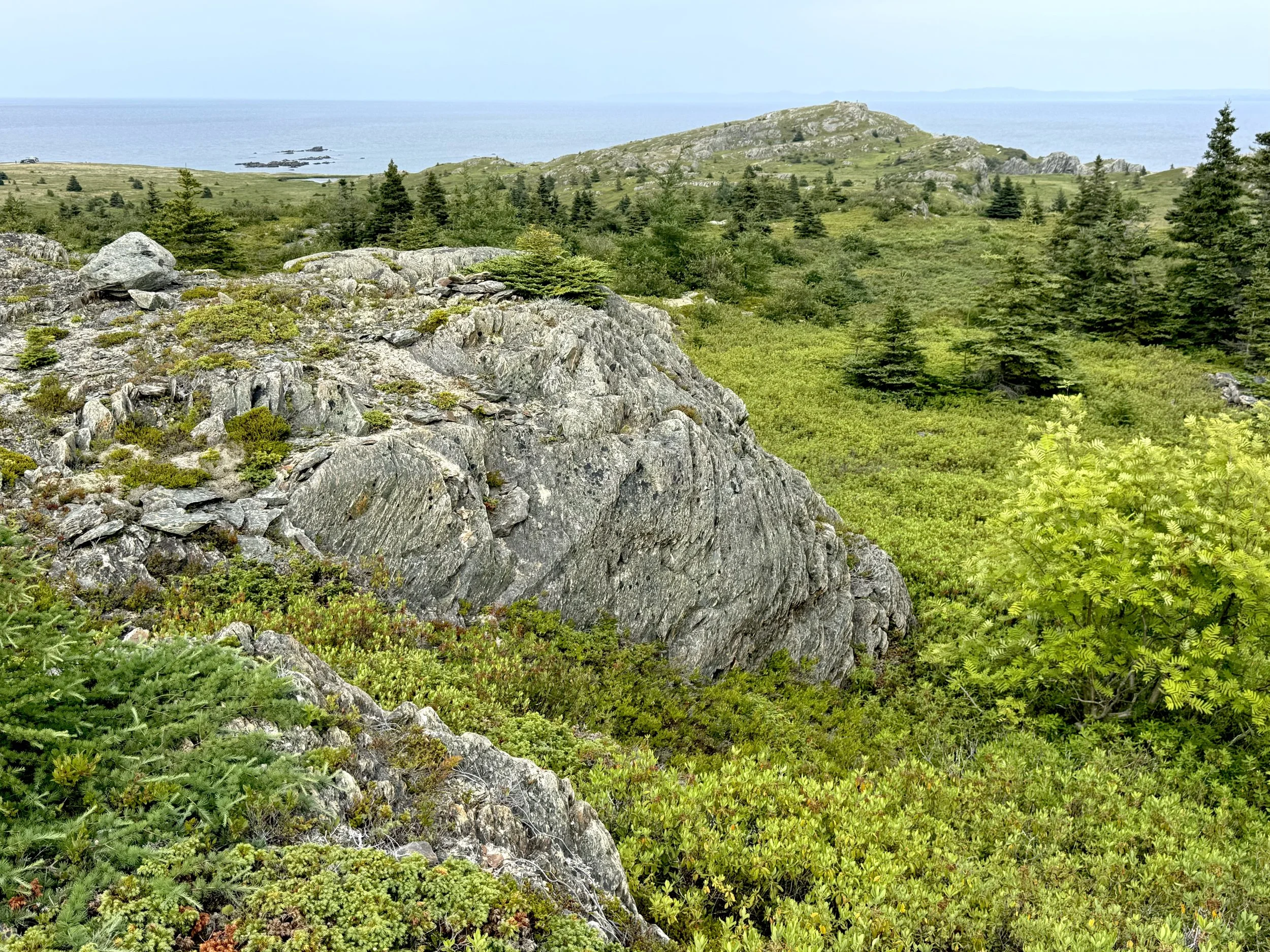 Shoreline Heritage Trail, Bay Roberts