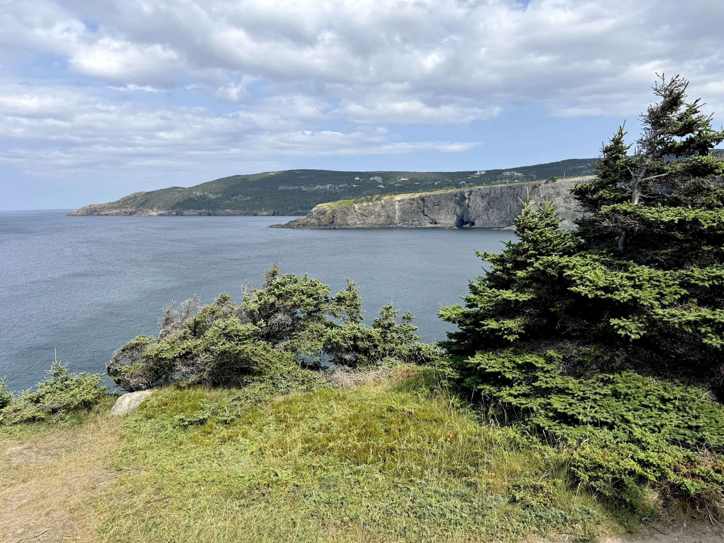 East Coast Trail, near Middle Cove