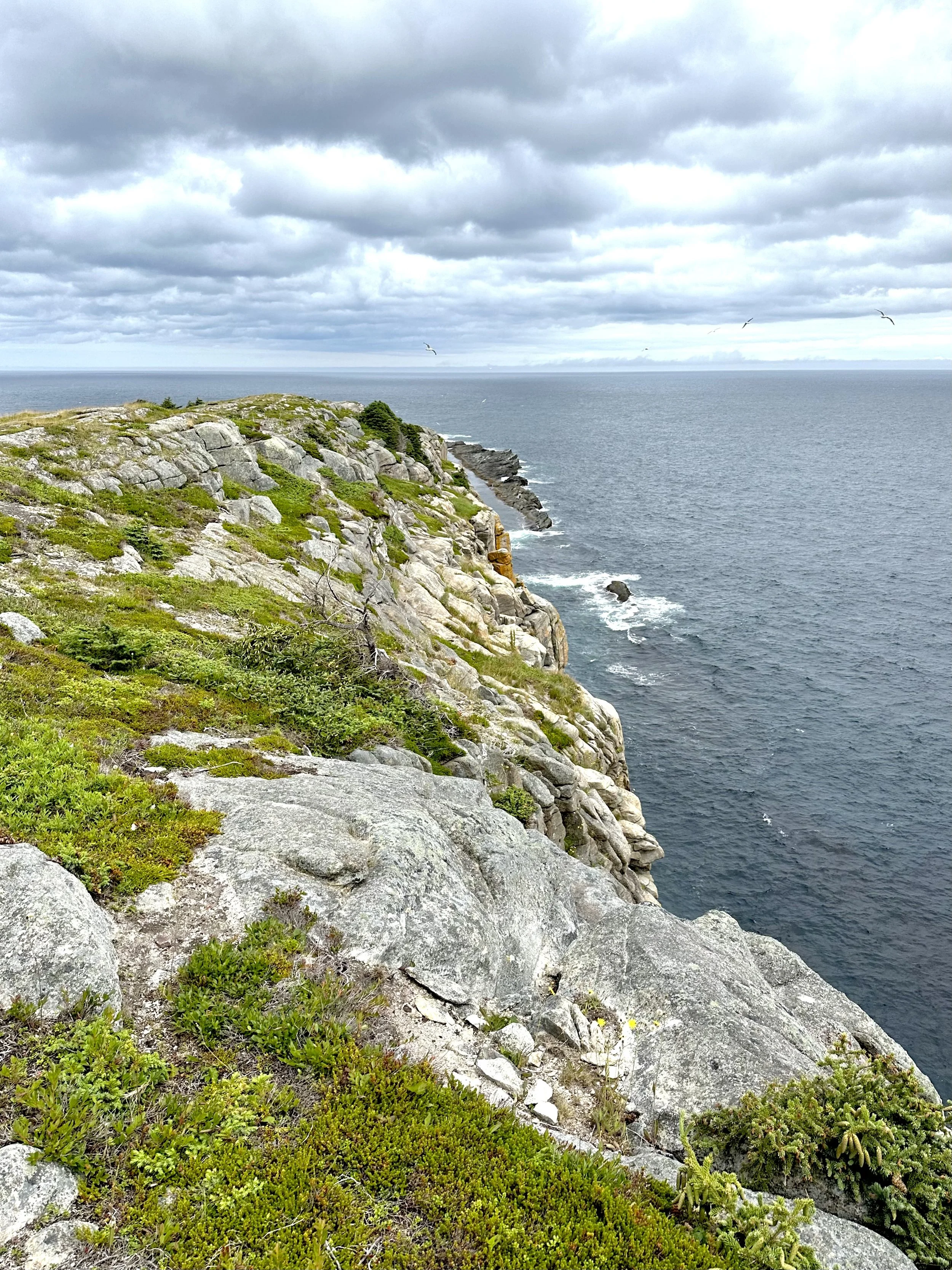 the Atlantic coast, Flatrock