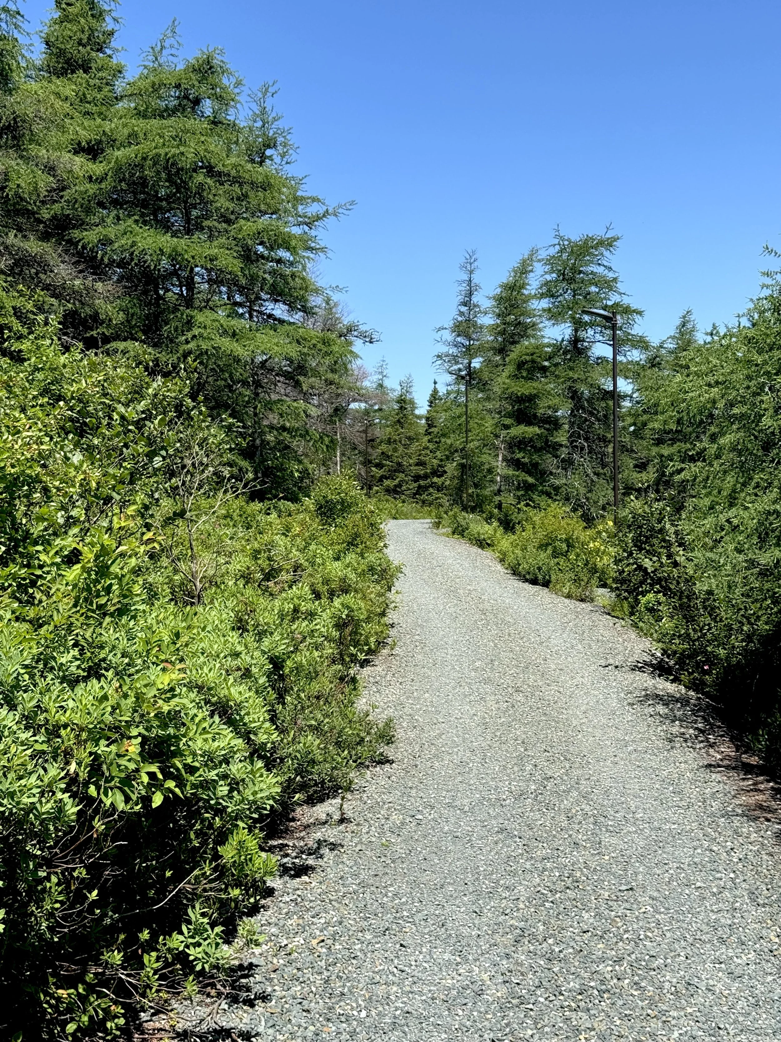 Long Pond Trail, Bay Bulls