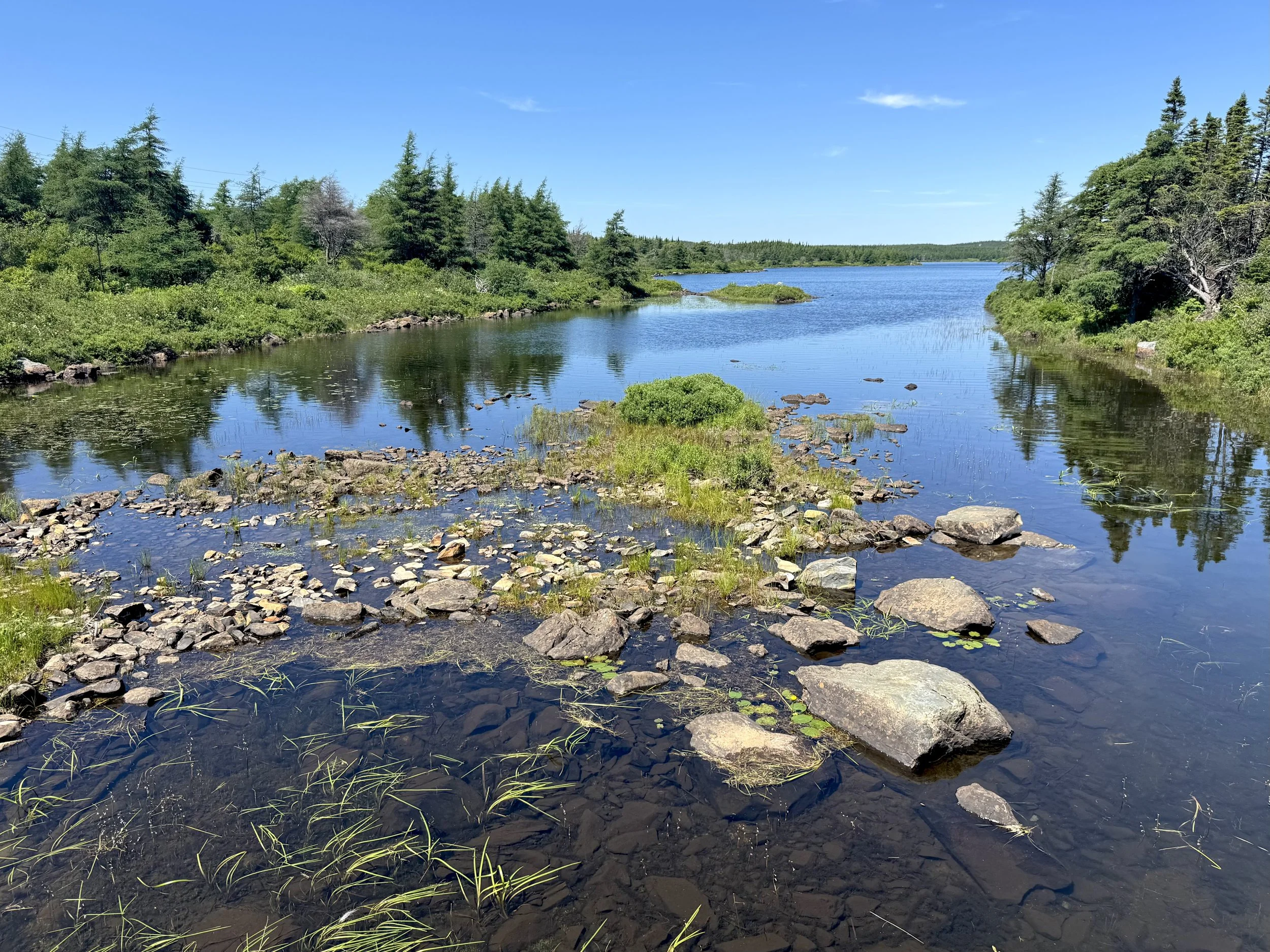 Long Pond Trail, Bay Bulls