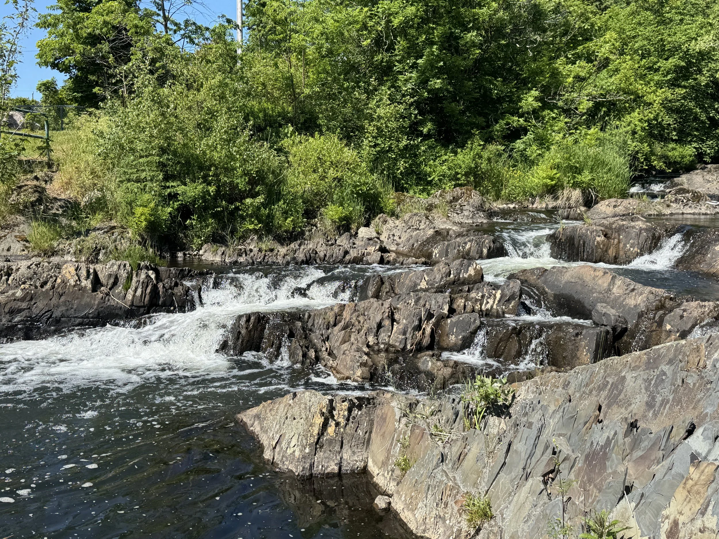 summer on Rennie's River