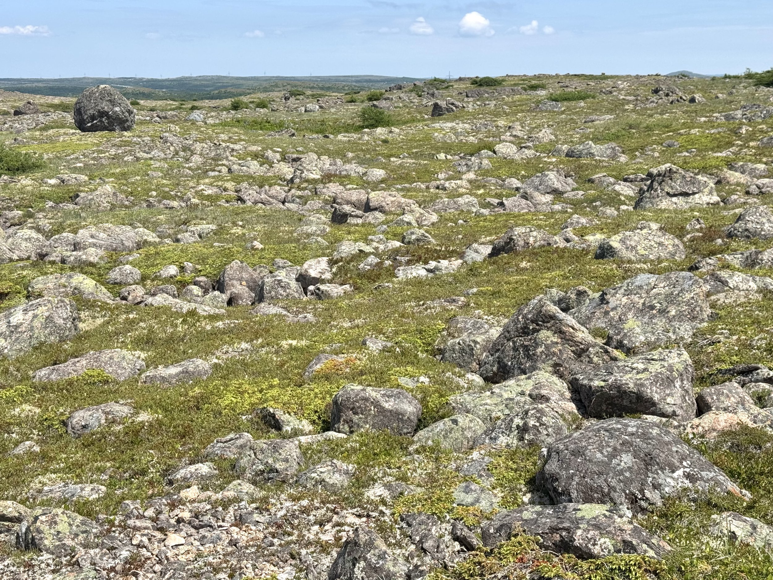 Hawke Hill Ecological Reserve