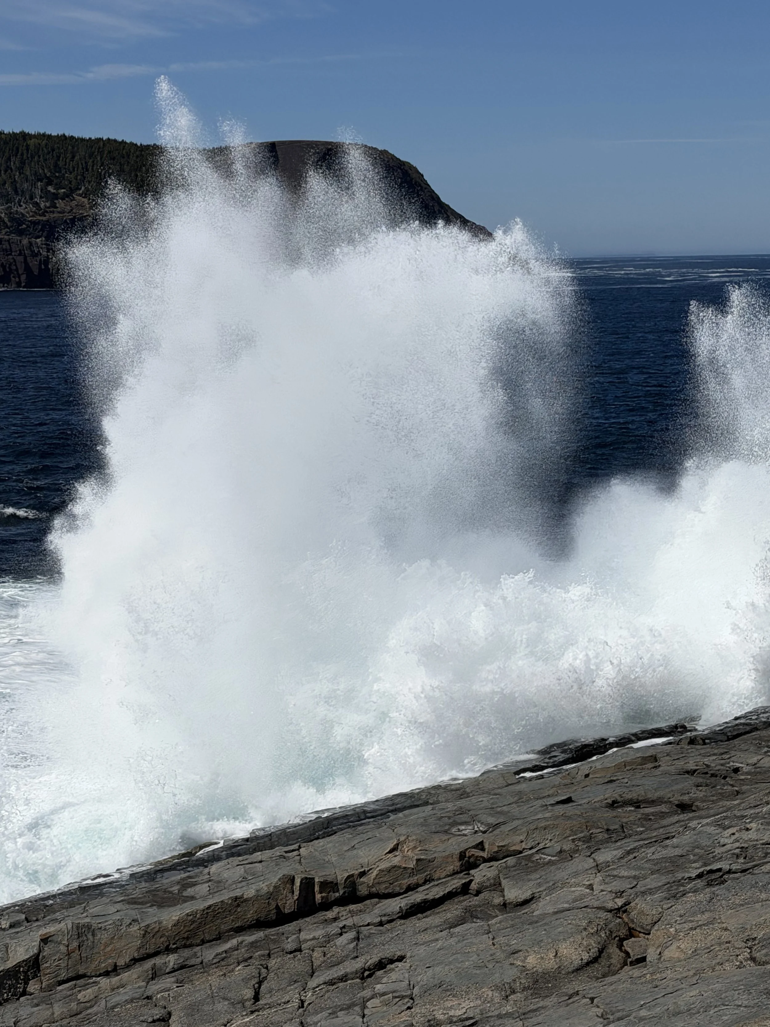 the Atlantic coast at Flatrock